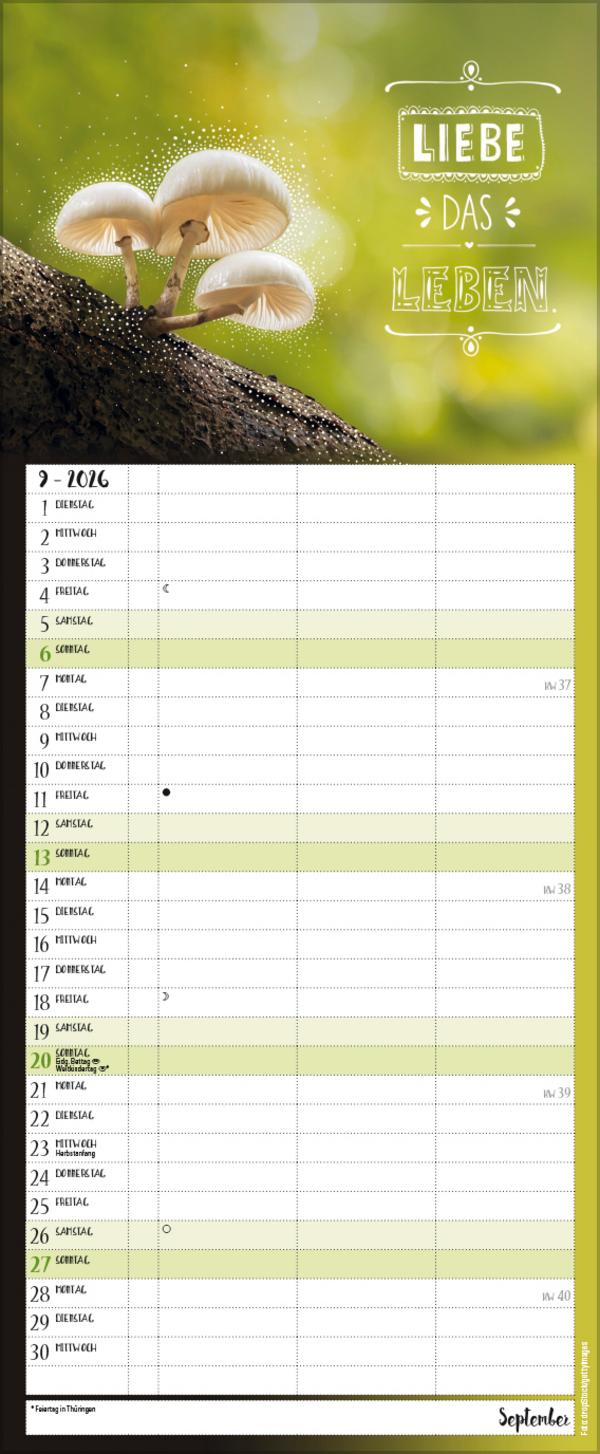 Beispielinhalt (Bild) Hier und jetzt Timer für 2 2026
