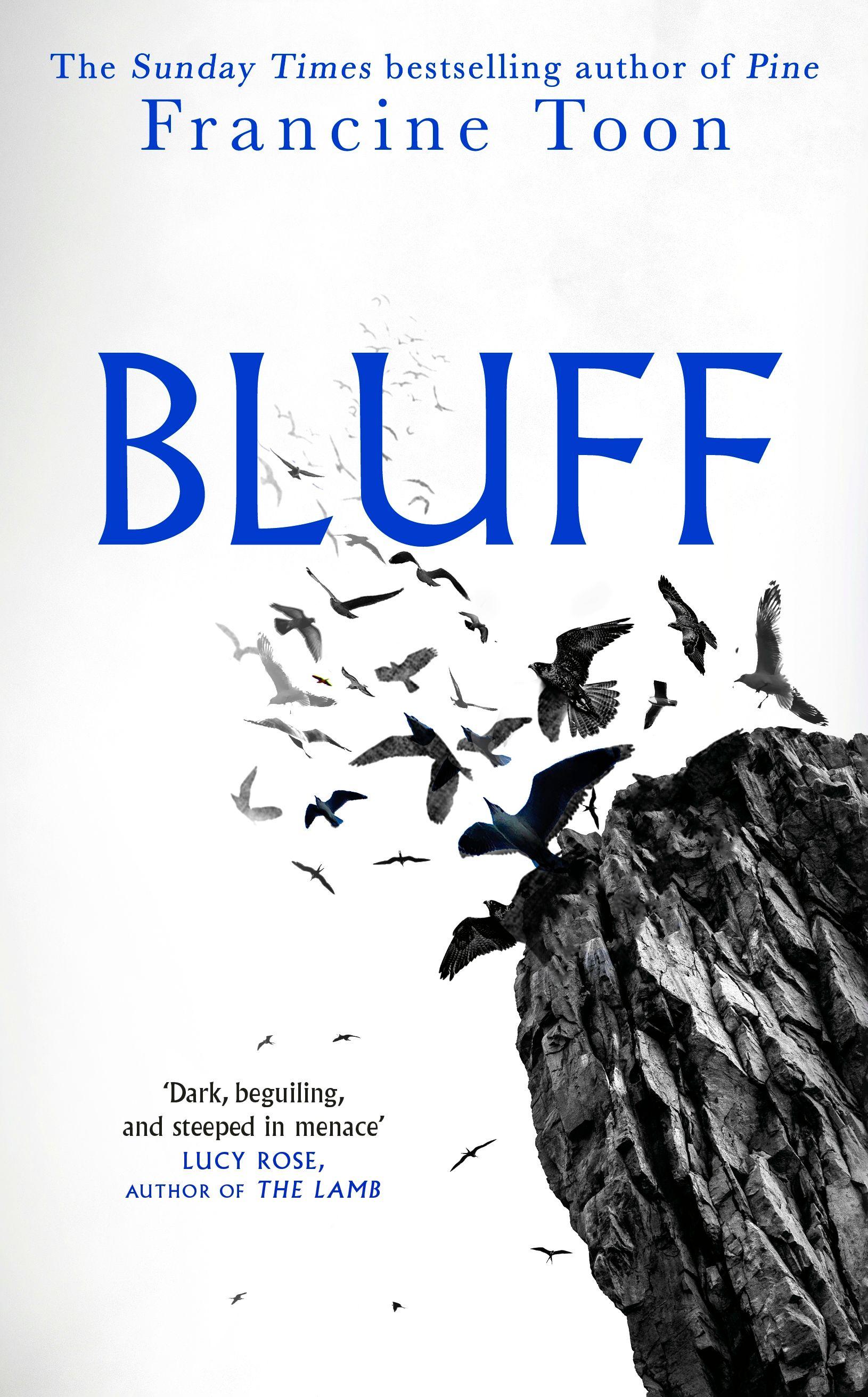 Vorderes Coverbild Bluff
