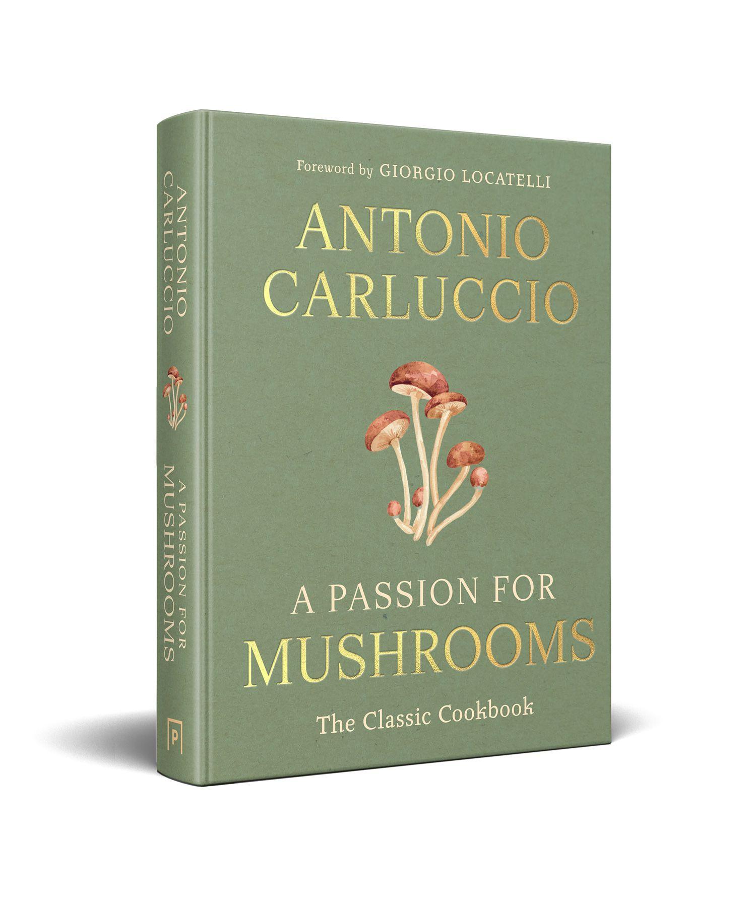 Beispielinhalt (Bild) A Passion for Mushrooms