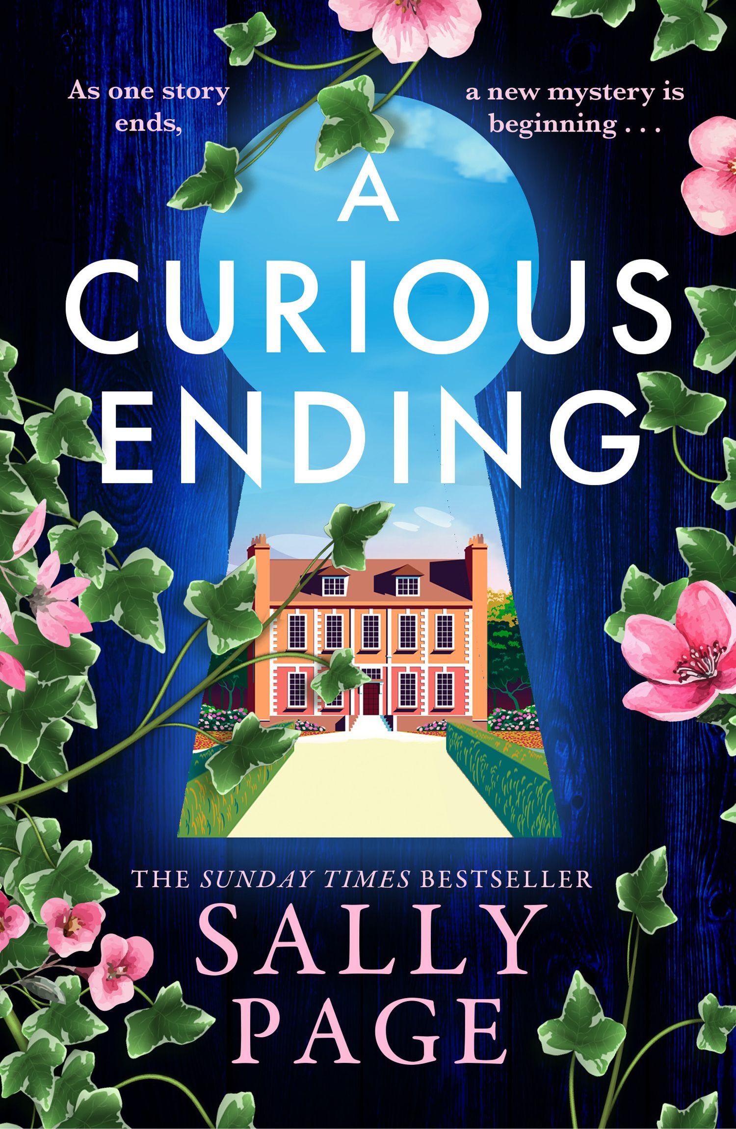 Vorderes Coverbild A Curious Ending