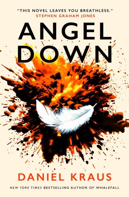 Vorderes Coverbild Angel Down
