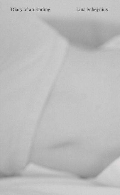 Vorderes Coverbild Diary of an Ending
