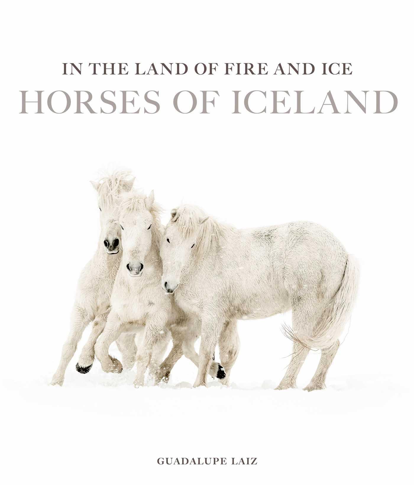 Vorderes Coverbild In the Land of Fire and Ice