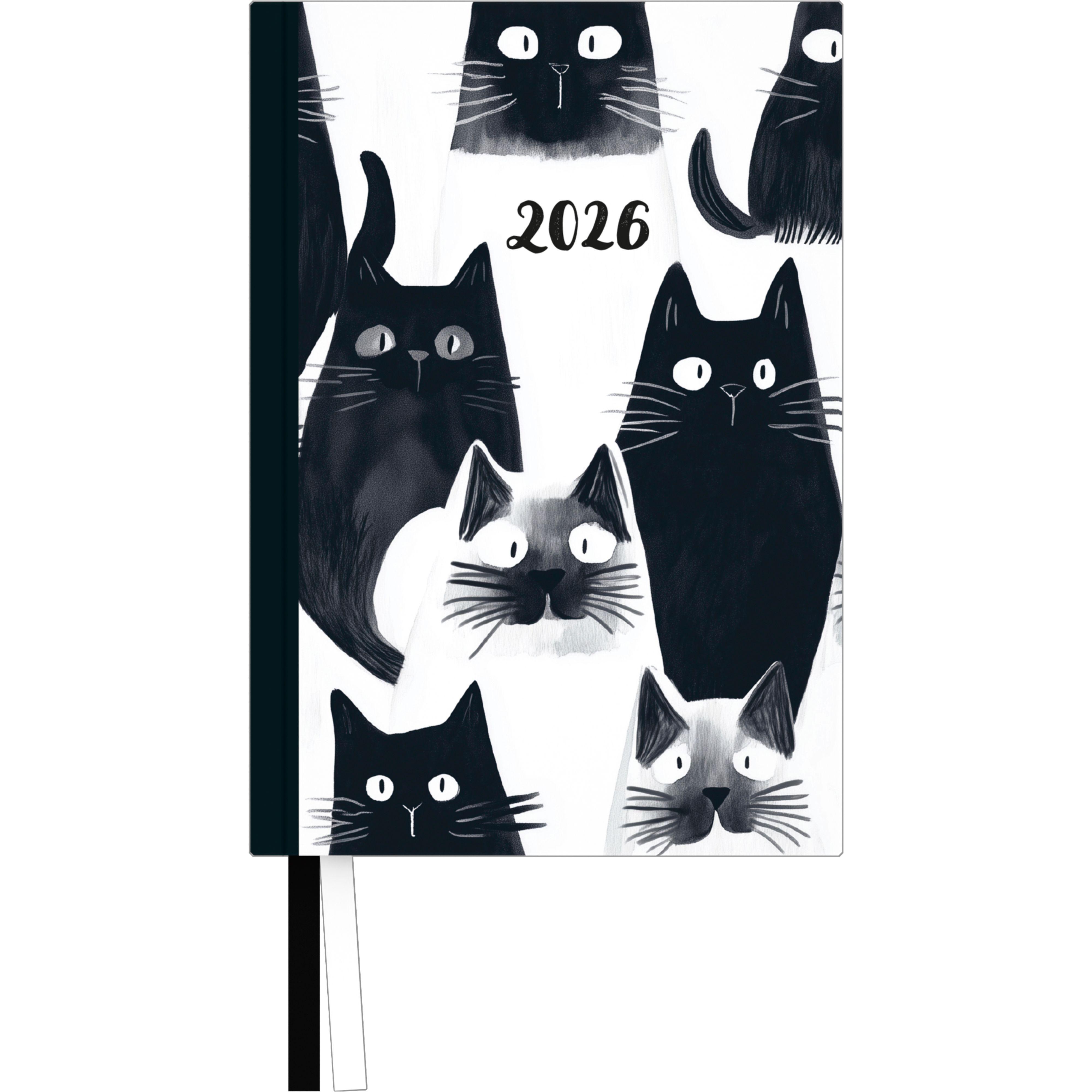 Vorderes Coverbild Taschenkalender 'Cats' 2026 - Terminplaner mit Wochenkalendarium - Format 11,3 x 16,3 cm