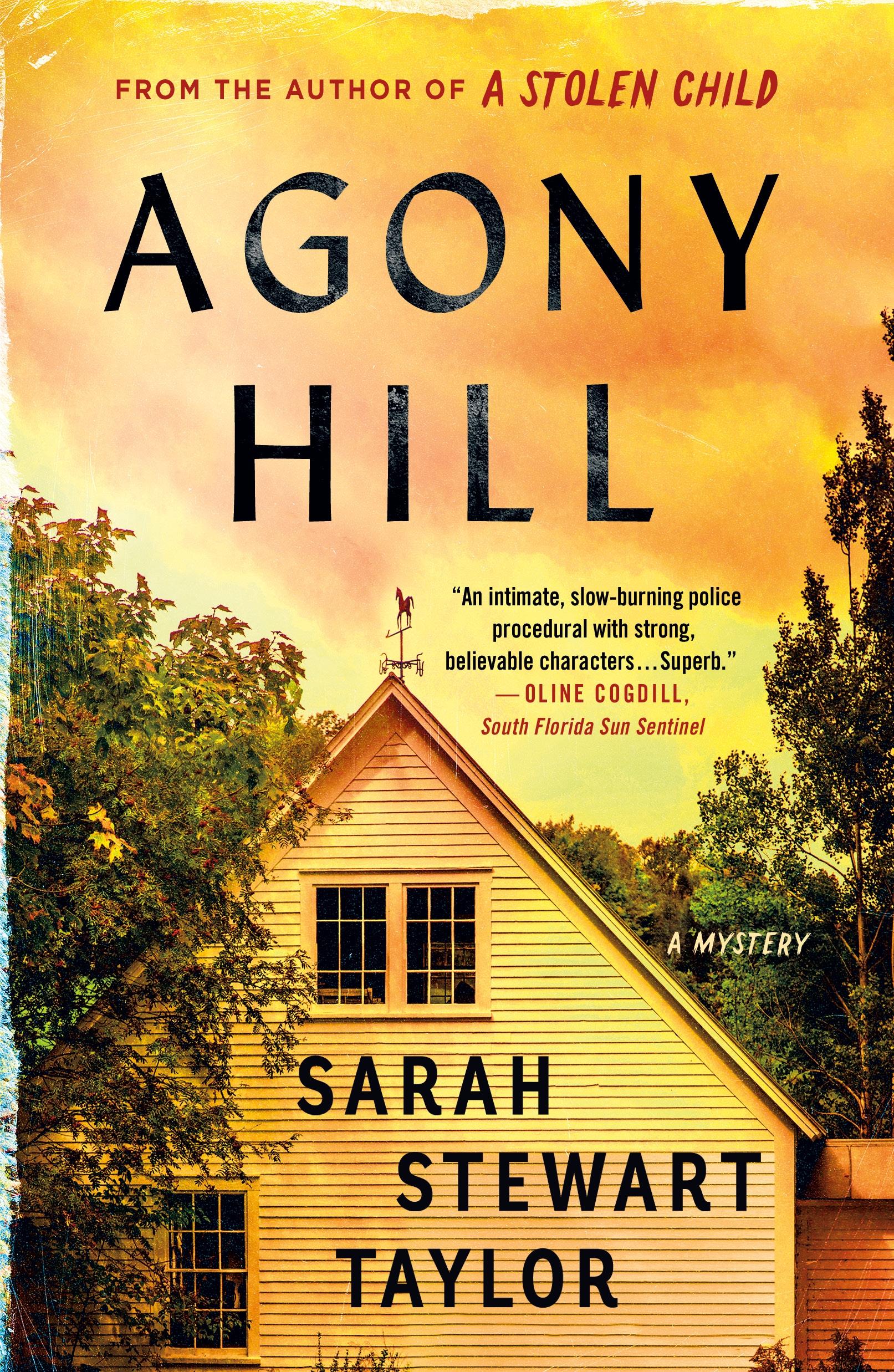 Vorderes Coverbild Agony Hill