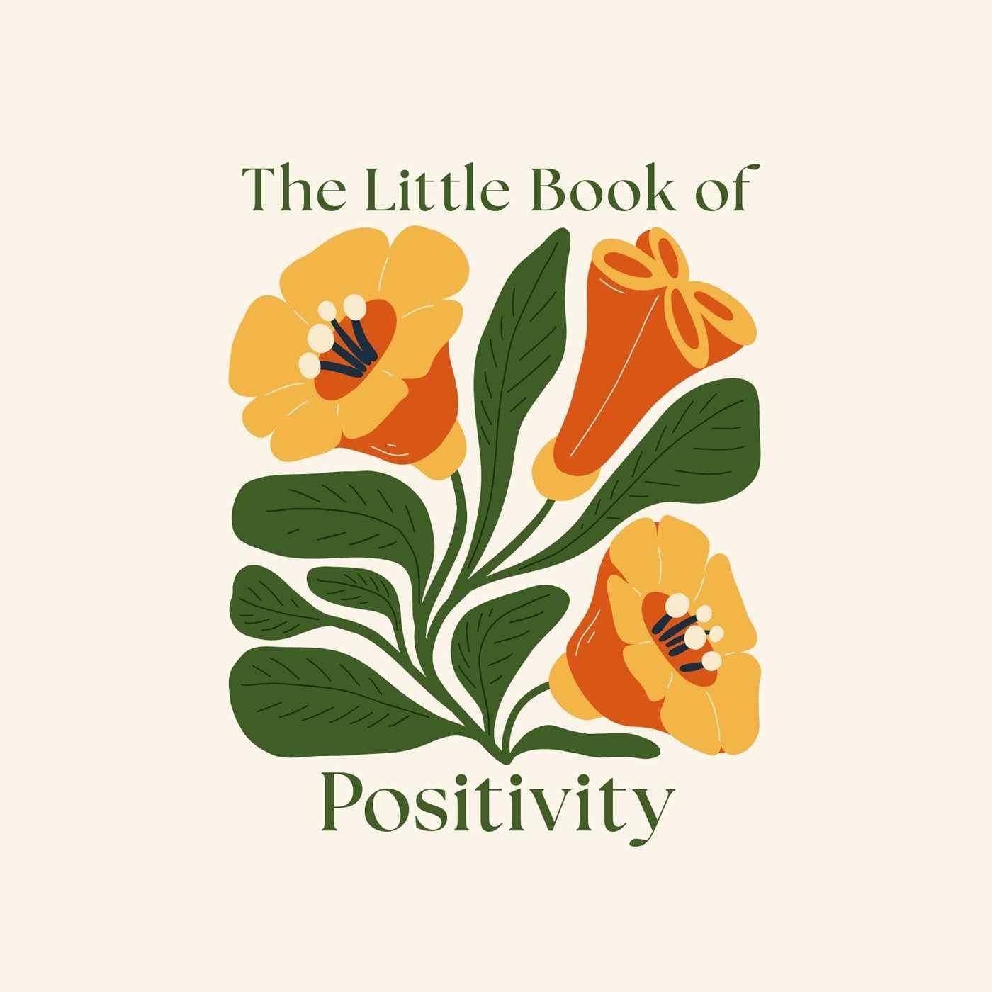 Vorderes Coverbild The Little Book of Positivity
