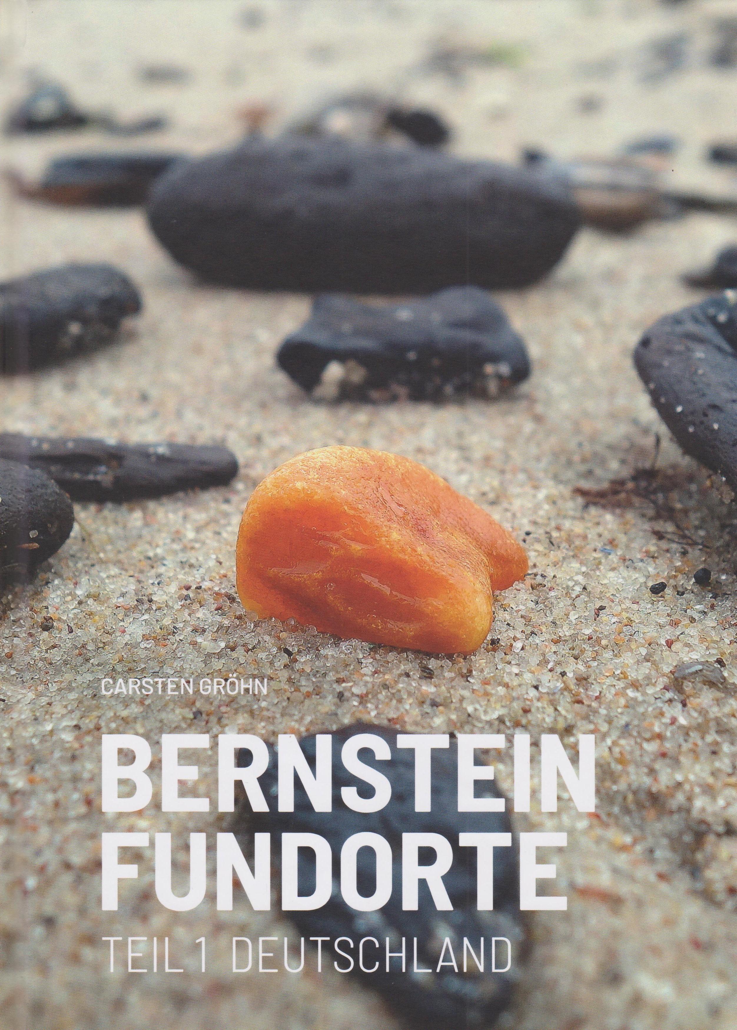 Vorderes Coverbild Bernstein Fundorte