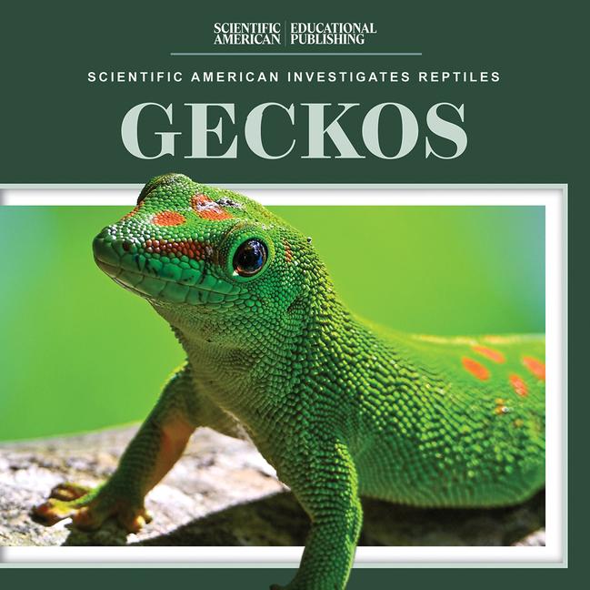 Vorderes Coverbild Geckos