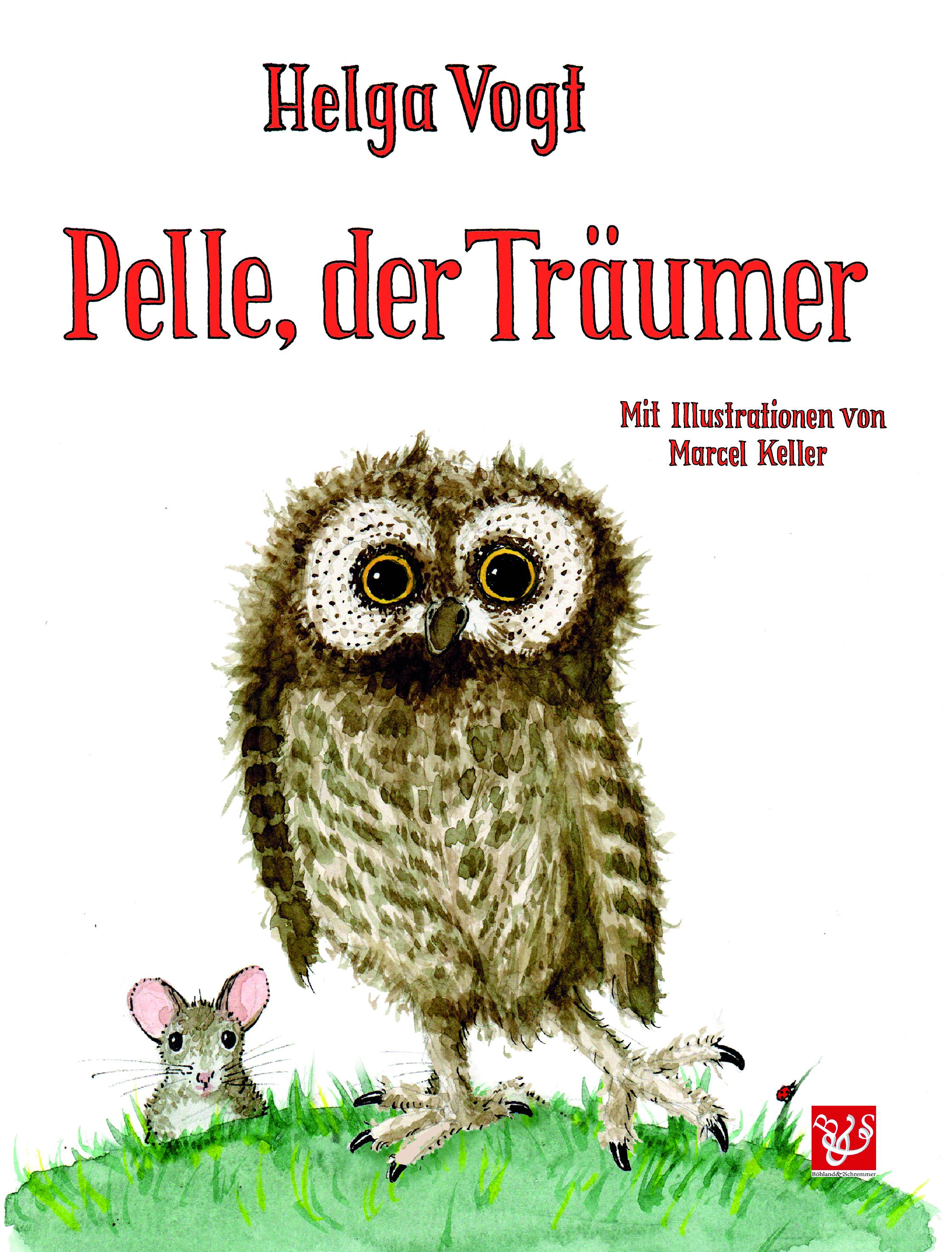 Vorderes Coverbild Pelle, der Träumer