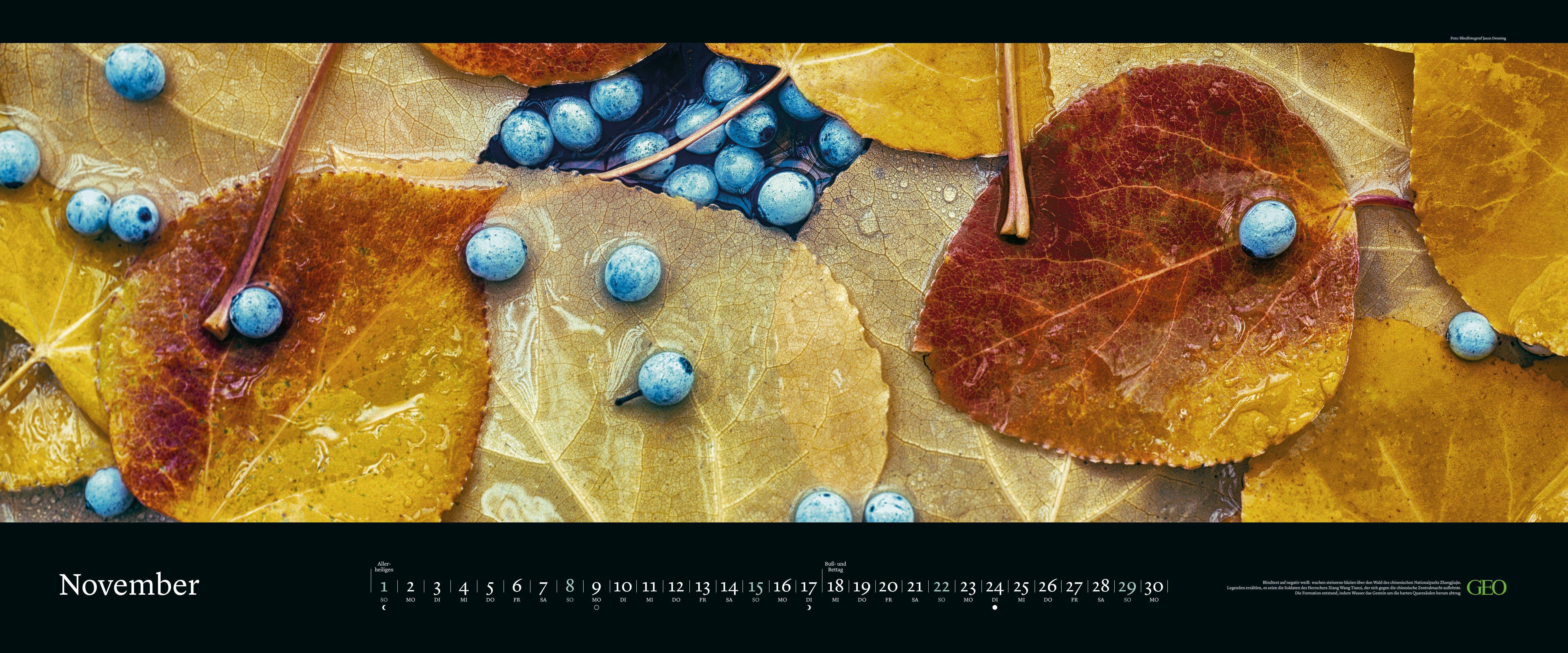 Beispielinhalt (Bild) GEO Panorama: Die schönsten Gärten 2026 - Panorama-Kalender - Wand-Kalender - Groß-Format - Bildkalender - 120x50 cm