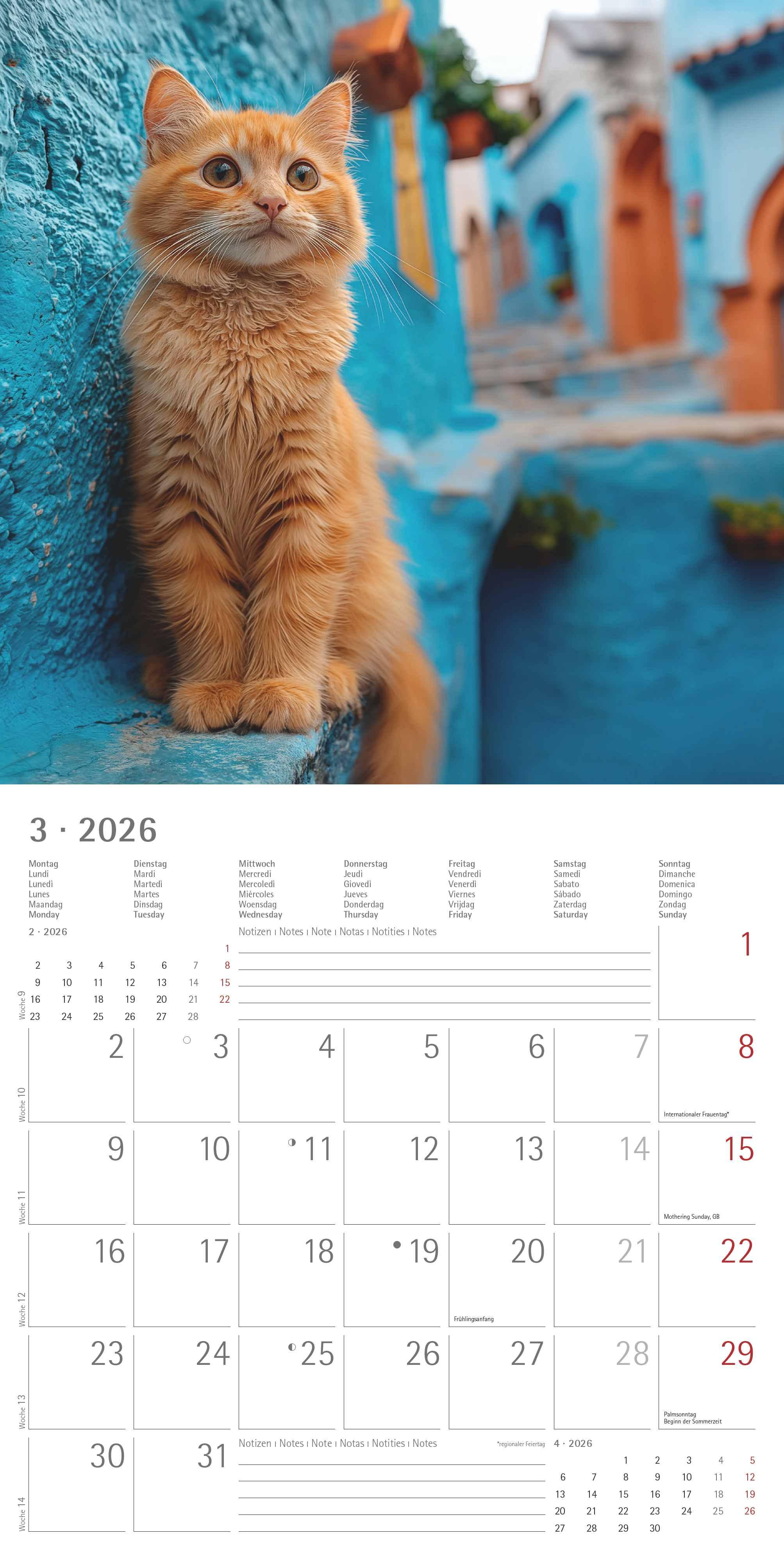 Beispielinhalt (Bild) Katzen 2026 - Broschürenkalender 30x30 cm (30x60 geöffnet) - Kalender mit Platz für Notizen - Cats - Bildkalender - Wandplaner - Katzenkalender