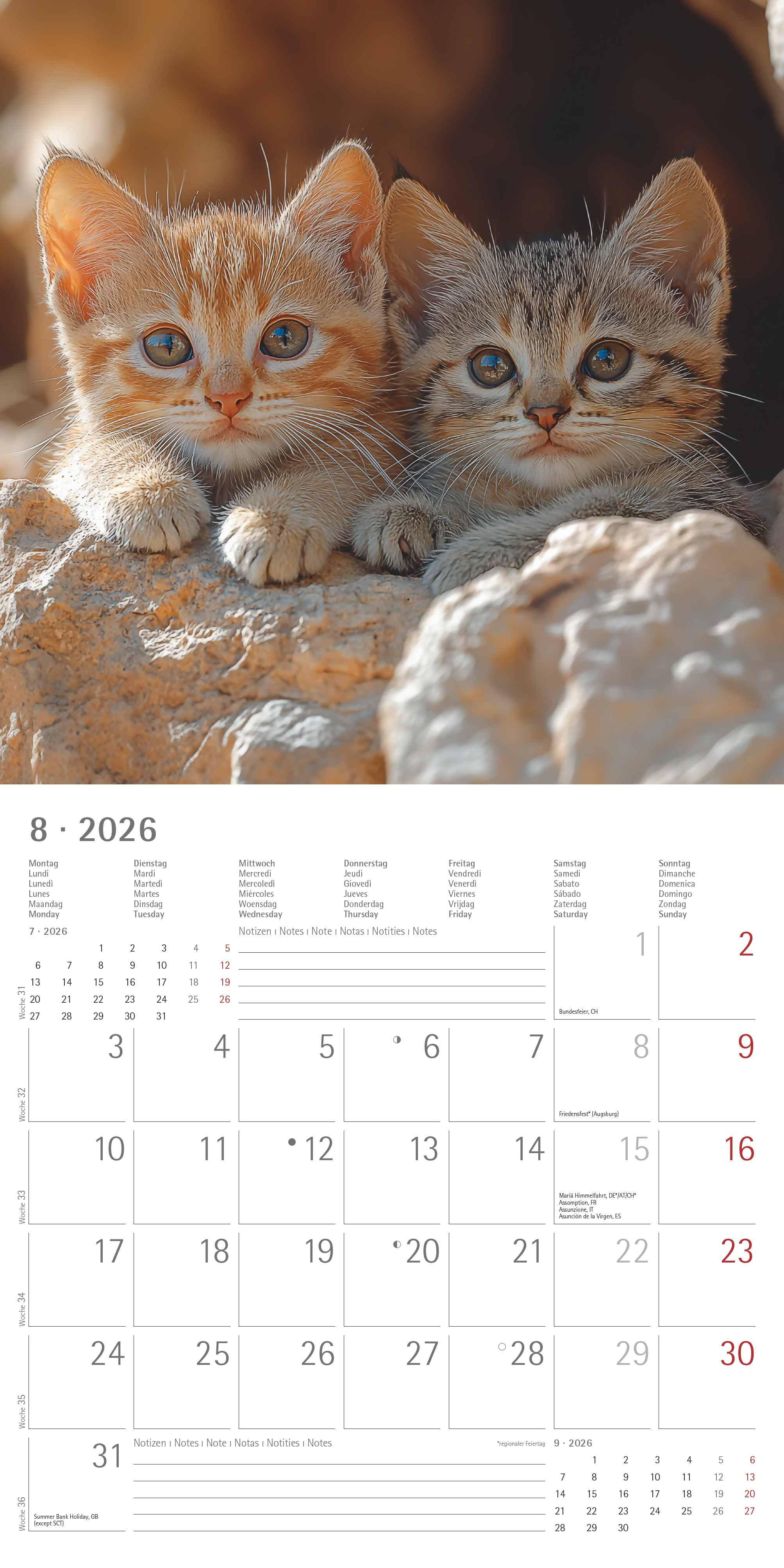 Beispielinhalt (Bild) Katzen 2026 - Broschürenkalender 30x30 cm (30x60 geöffnet) - Kalender mit Platz für Notizen - Cats - Bildkalender - Wandplaner - Katzenkalender