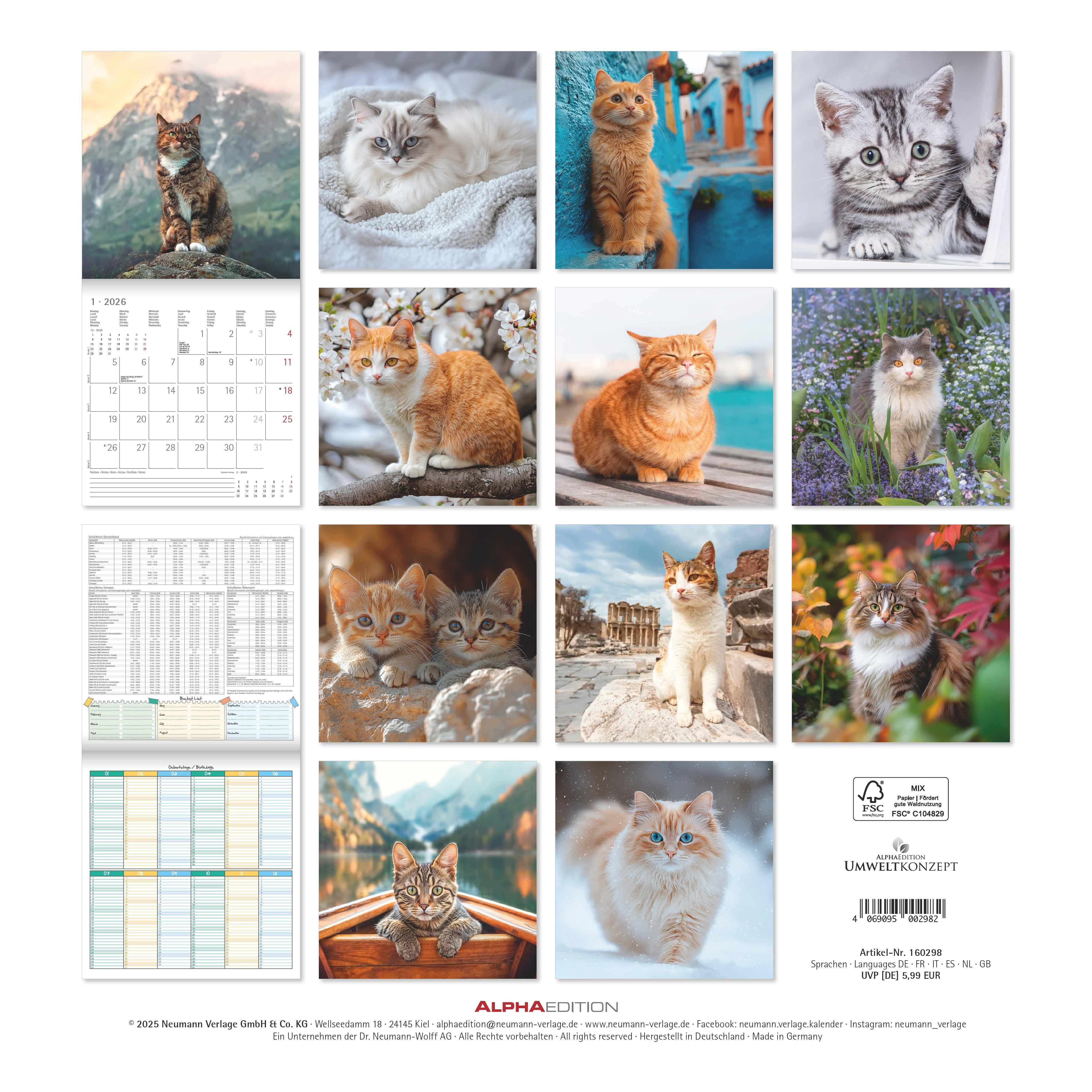 Rückseitencover Katzen 2026 - Broschürenkalender 30x30 cm (30x60 geöffnet) - Kalender mit Platz für Notizen - Cats - Bildkalender - Wandplaner - Katzenkalender