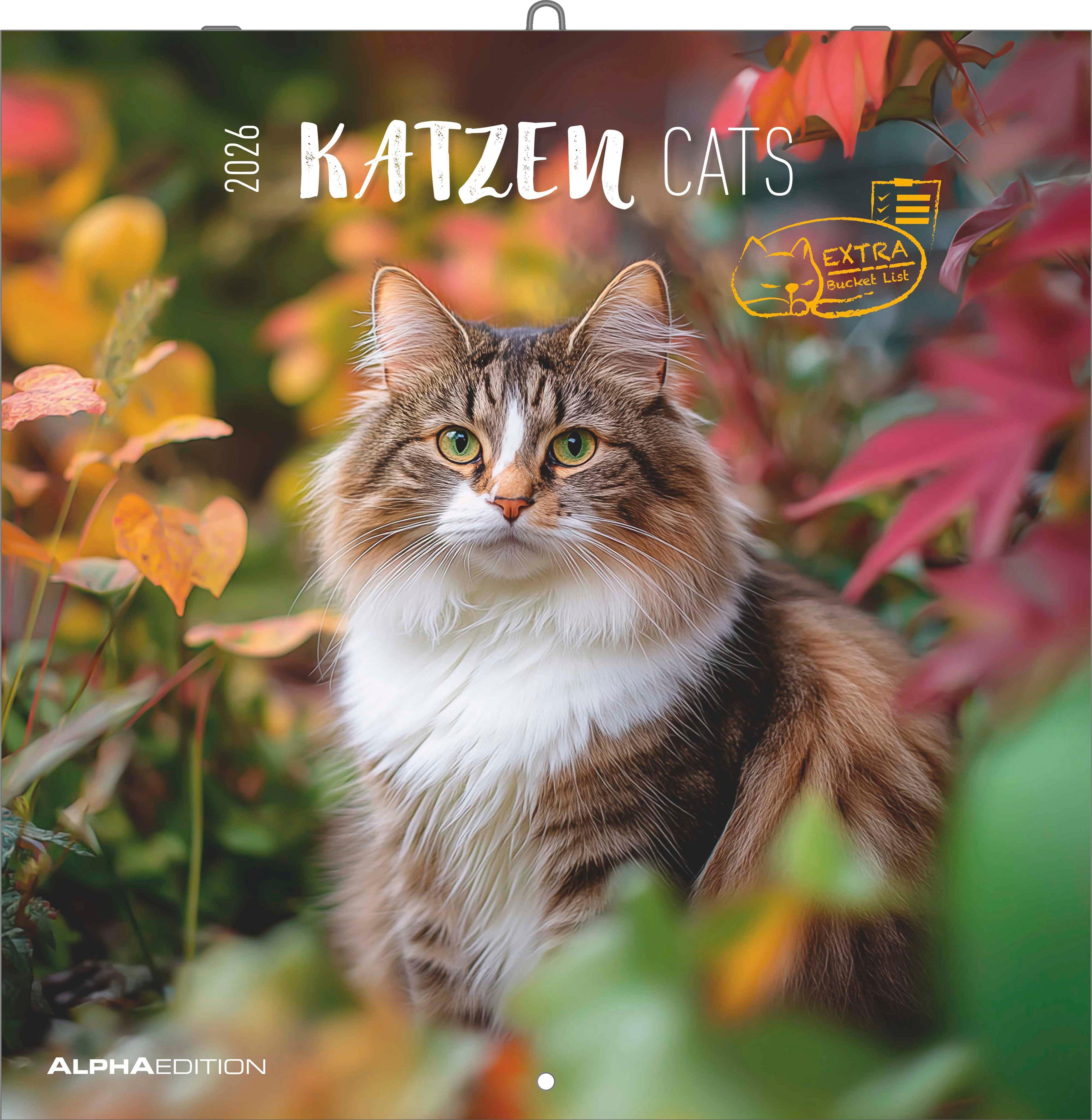 Vorderes Coverbild Katzen 2026 - Broschürenkalender 30x30 cm (30x60 geöffnet) - Kalender mit Platz für Notizen - Cats - Bildkalender - Wandplaner - Katzenkalender