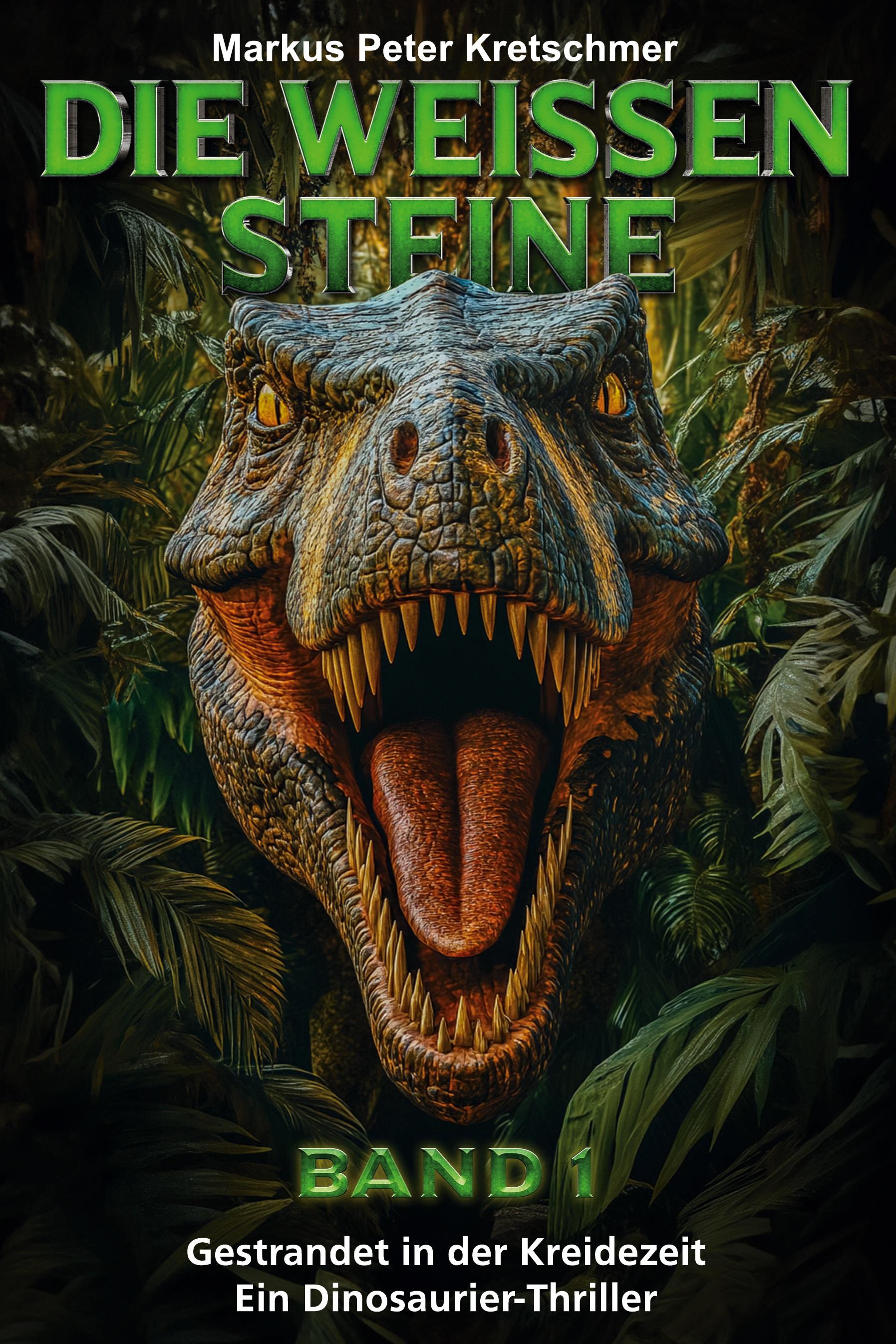 Vorderes Coverbild Die Weißen Steine Band 1