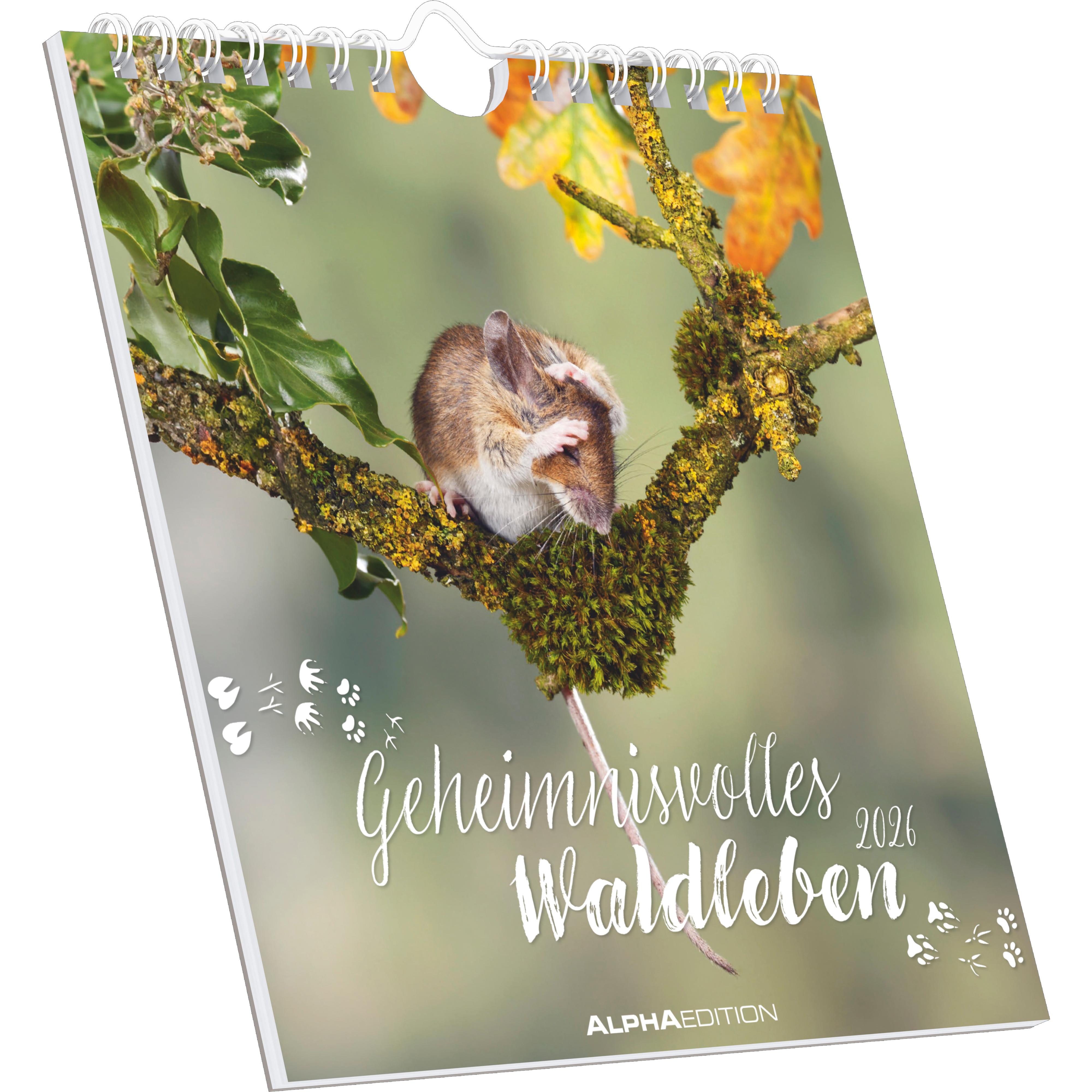 Vorderes Coverbild Geheimnisvolles Waldleben