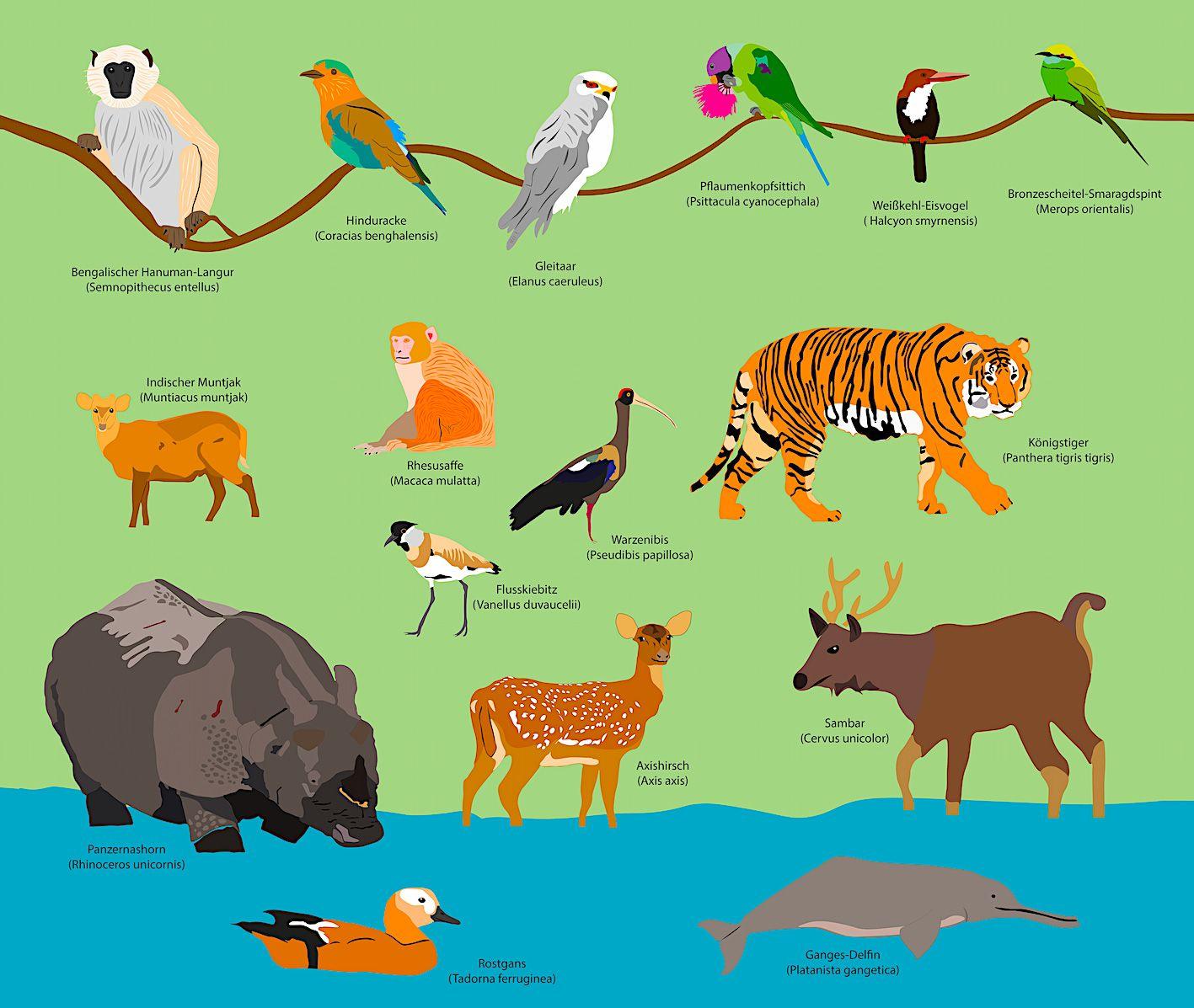 Beispielinhalt (Bild) Abenteuer NEPAL