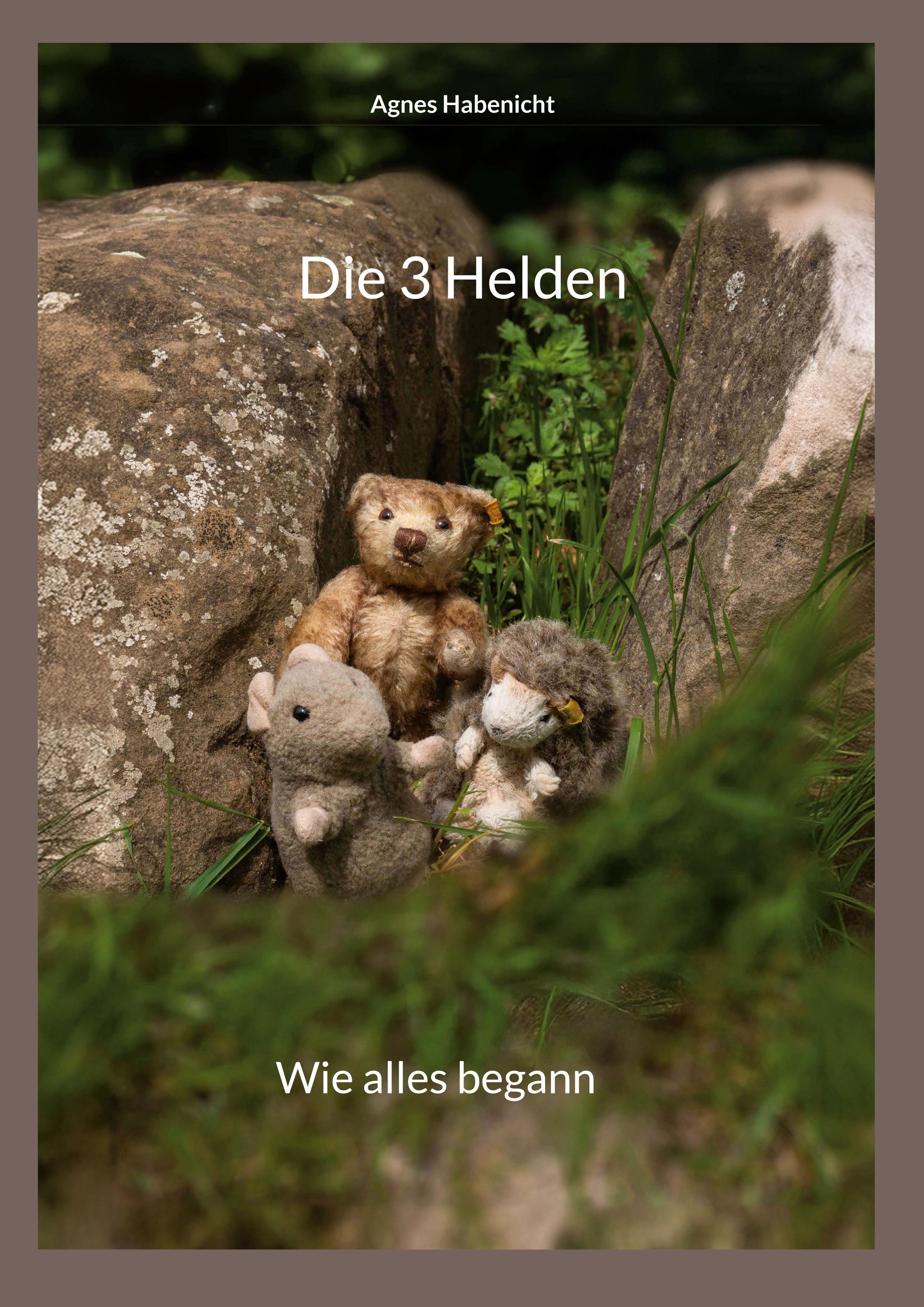 Vorderes Coverbild Die 3 Helden