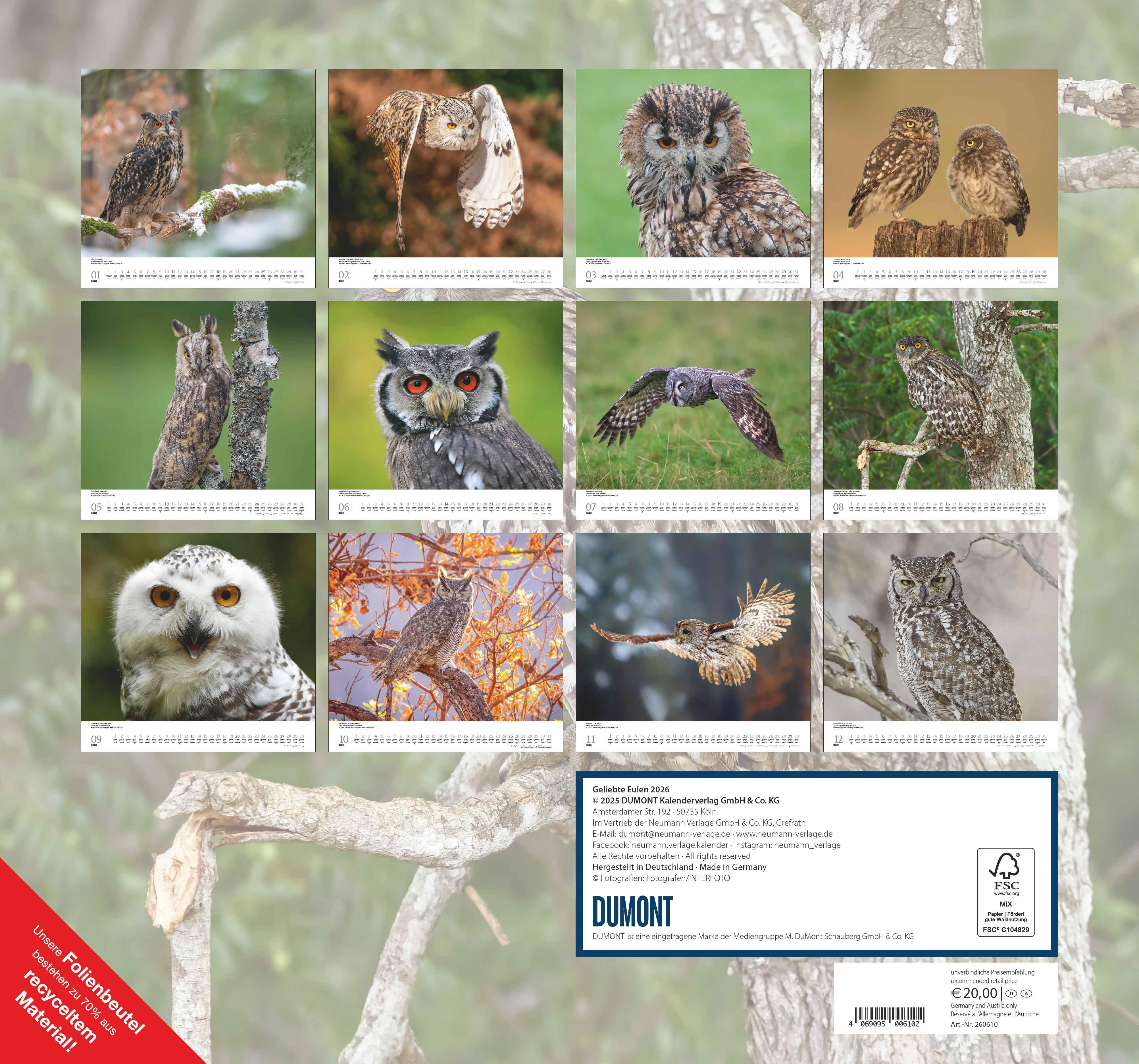 Rückseitencover Geliebte Eulen 2026 - DUMONT Wandkalender - mit den wichtigsten Feiertagen - Format 38,0 x 35,5 cm