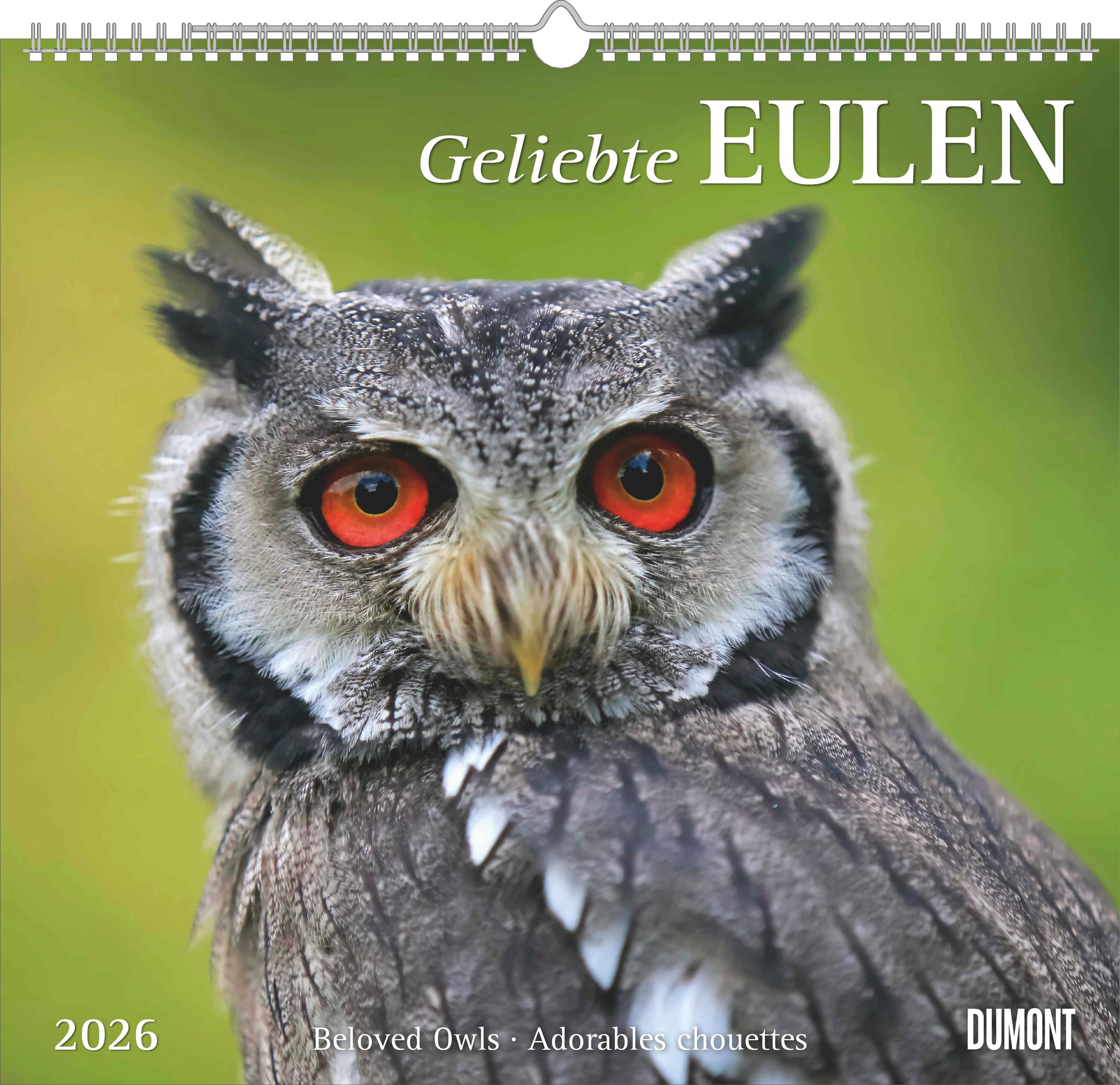 Vorderes Coverbild Geliebte Eulen 2026 - DUMONT Wandkalender - mit den wichtigsten Feiertagen - Format 38,0 x 35,5 cm