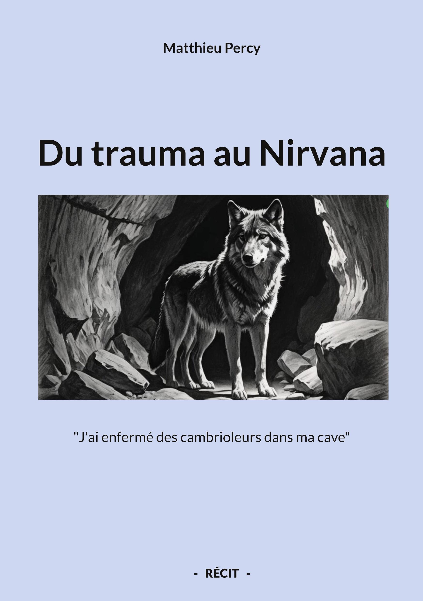 Vorderes Coverbild Du trauma au Nirvana