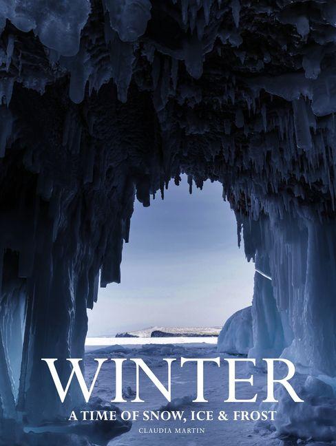 Vorderes Coverbild Winter
