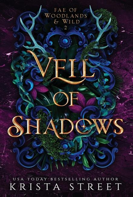 Vorderes Coverbild Veil of Shadows