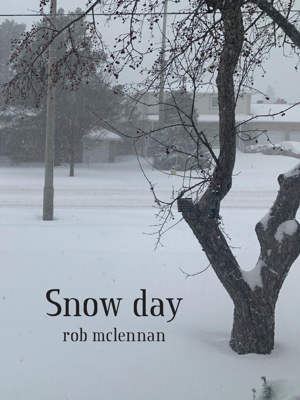 Vorderes Coverbild Snow day