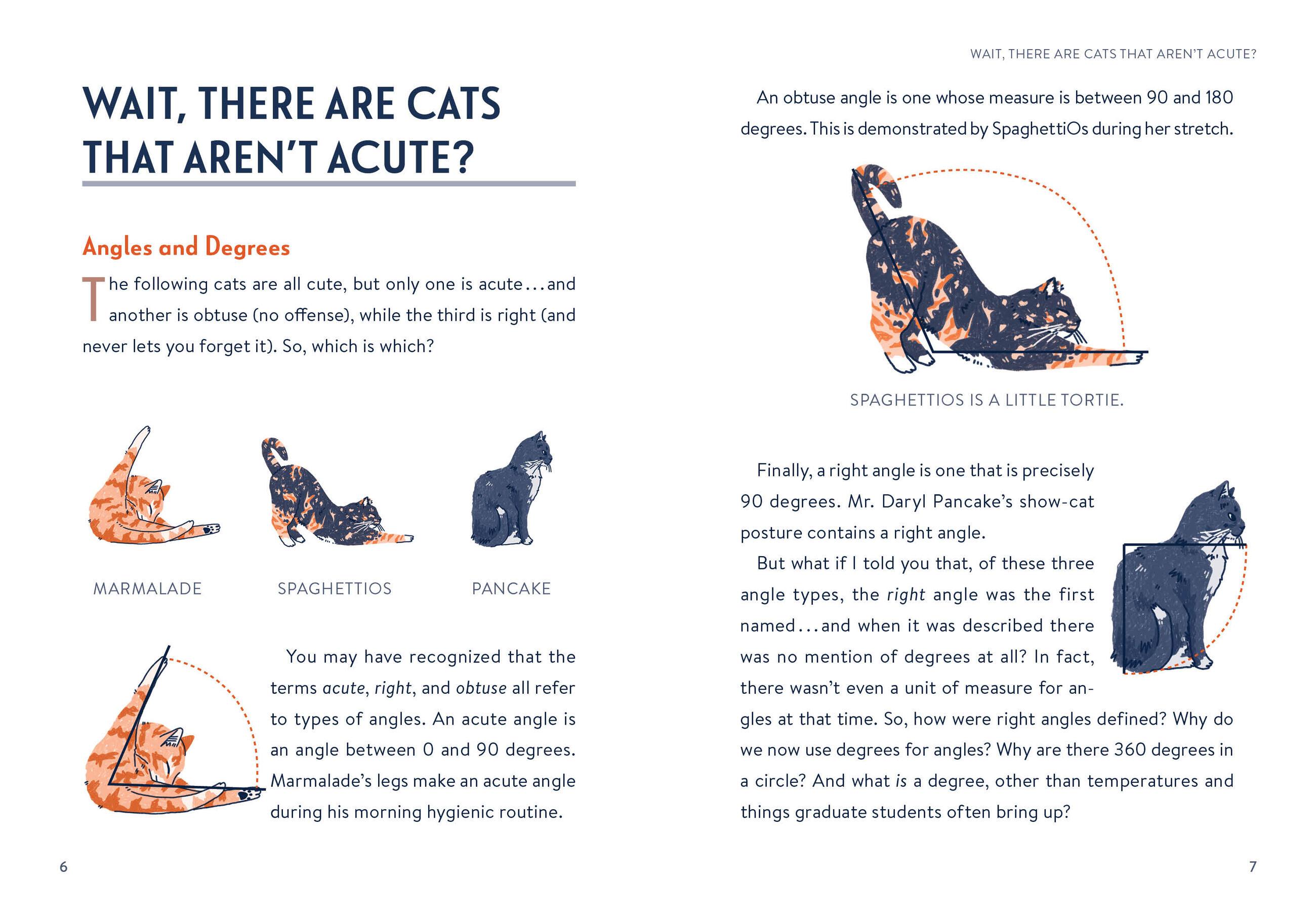 Beispielinhalt (Bild) Math Cats