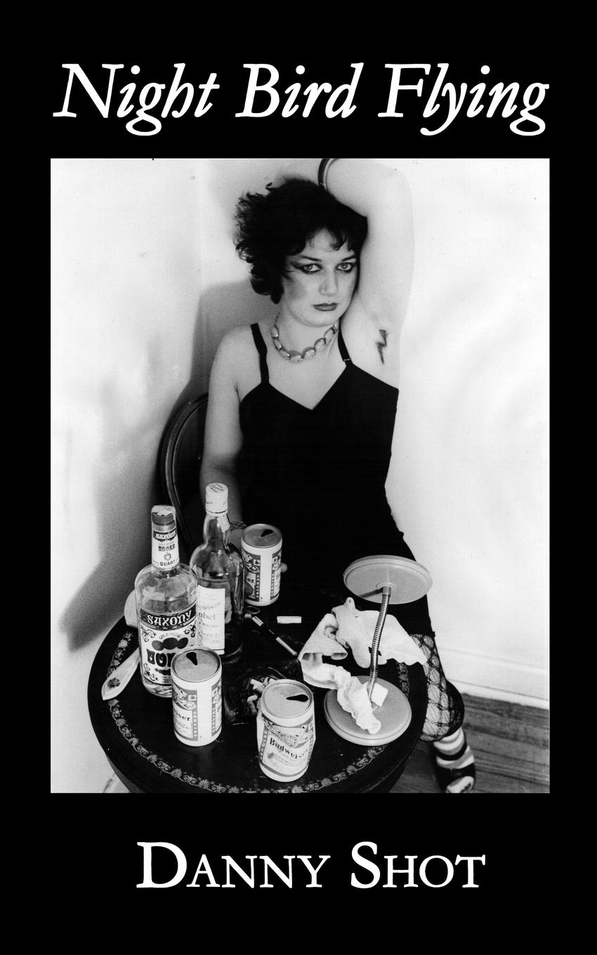 Vorderes Coverbild Night Bird Flying