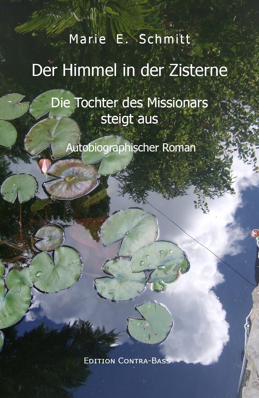 Vorderes Coverbild Der Himmel in der Zisterne