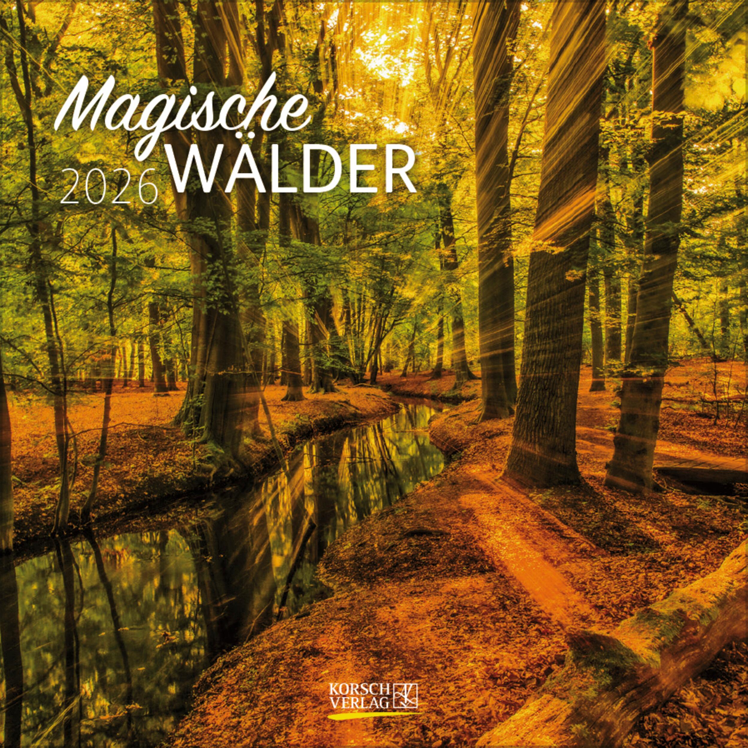 Vorderes Coverbild Magische Wälder 2026
