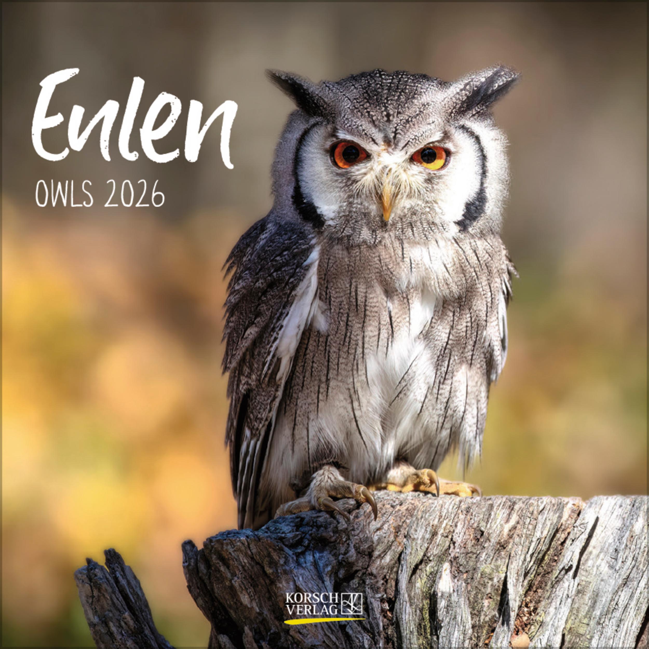 Vorderes Coverbild Eulen 2026