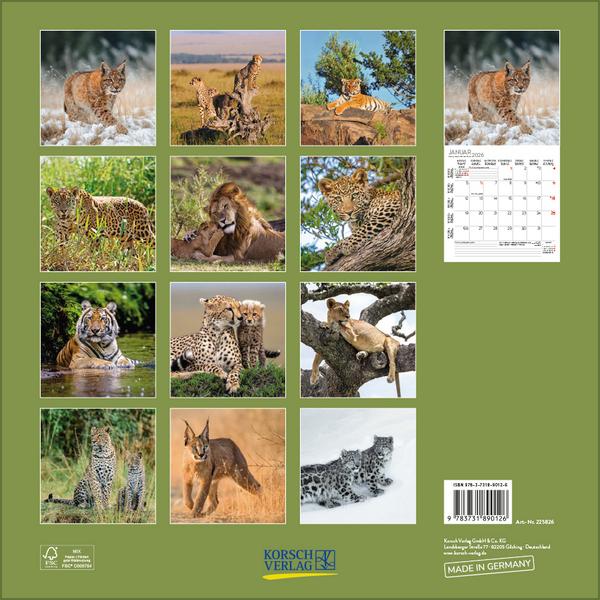 Beispielinhalt (Bild) Big Cats 2026