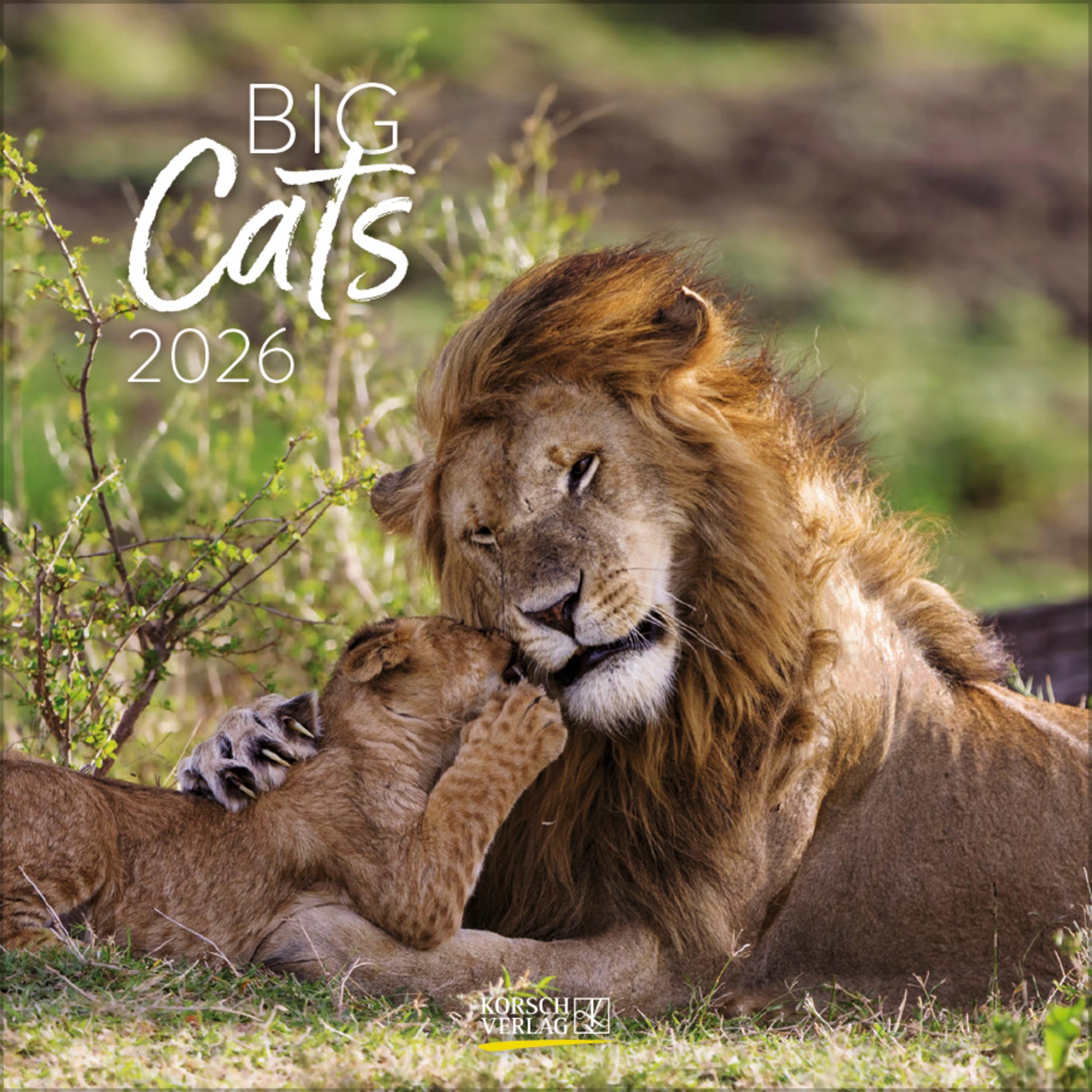 Vorderes Coverbild Big Cats 2026