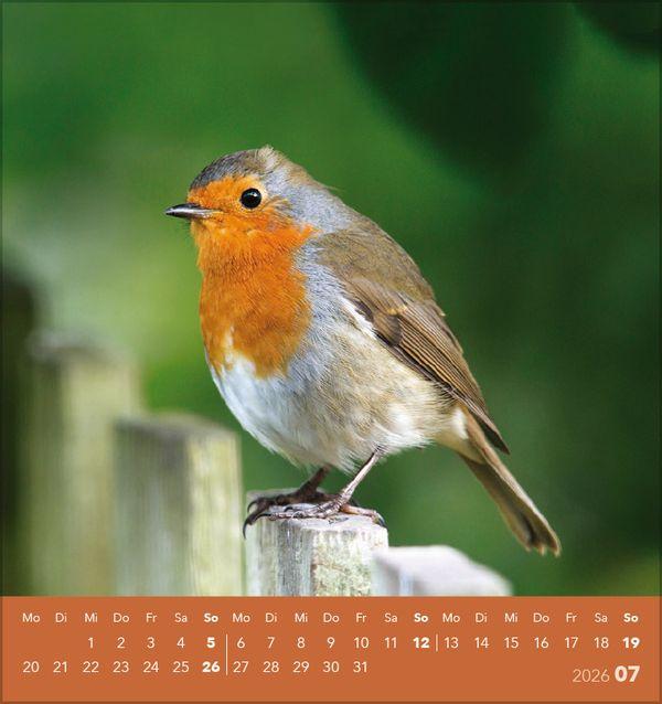 Beispielinhalt (Bild) Vögel unserer Heimat 2026