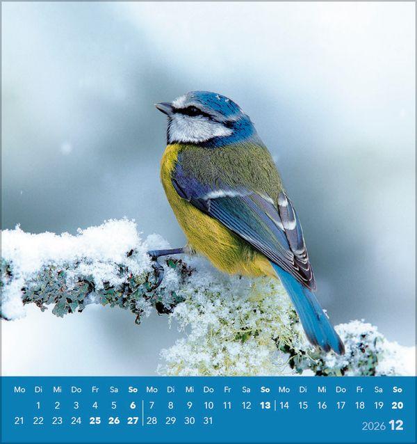 Beispielinhalt (Bild) Vögel unserer Heimat 2026