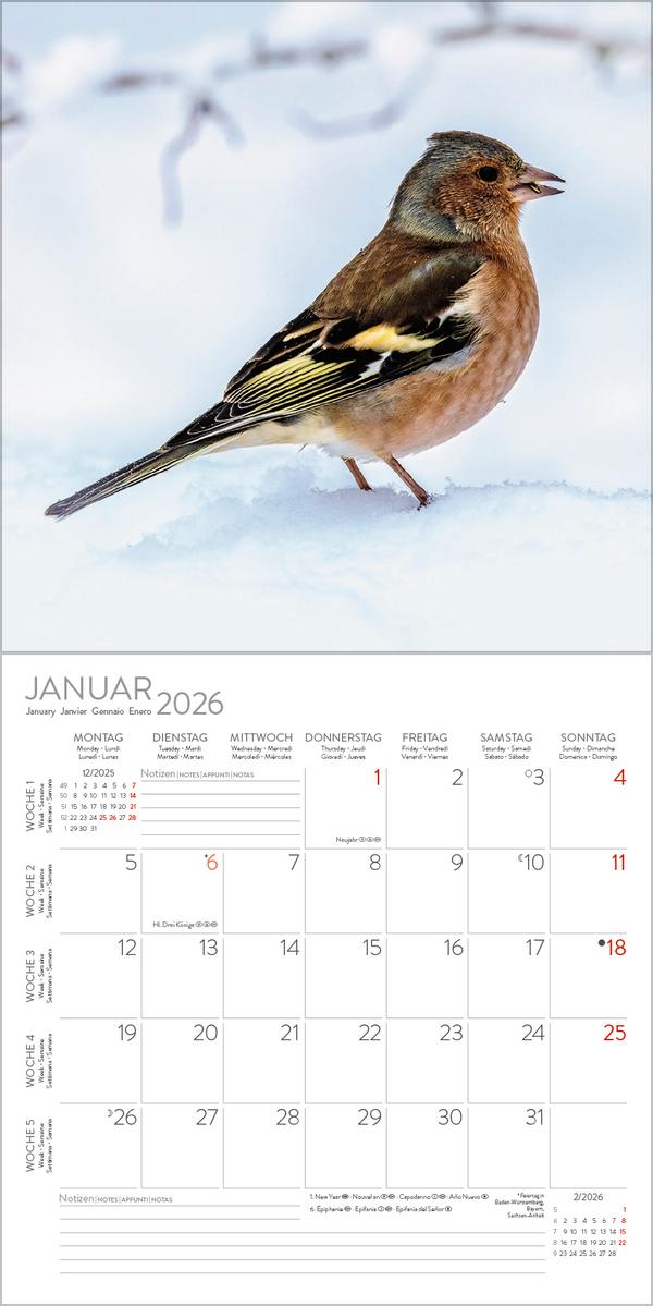 Beispielinhalt (Bild) Vögel 2026