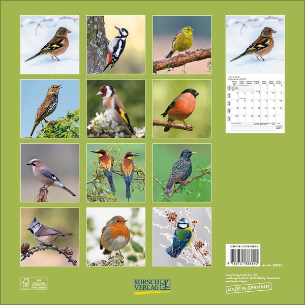 Beispielinhalt (Bild) Vögel 2026