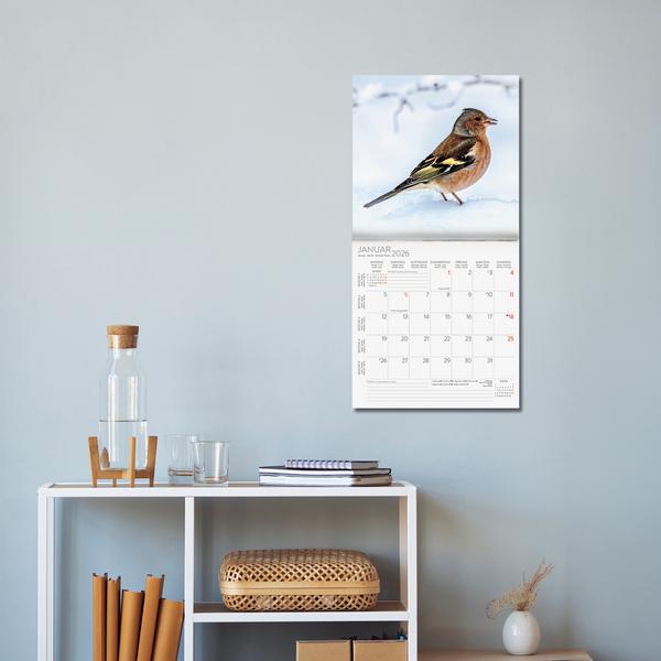 Beispielinhalt (Bild) Vögel 2026