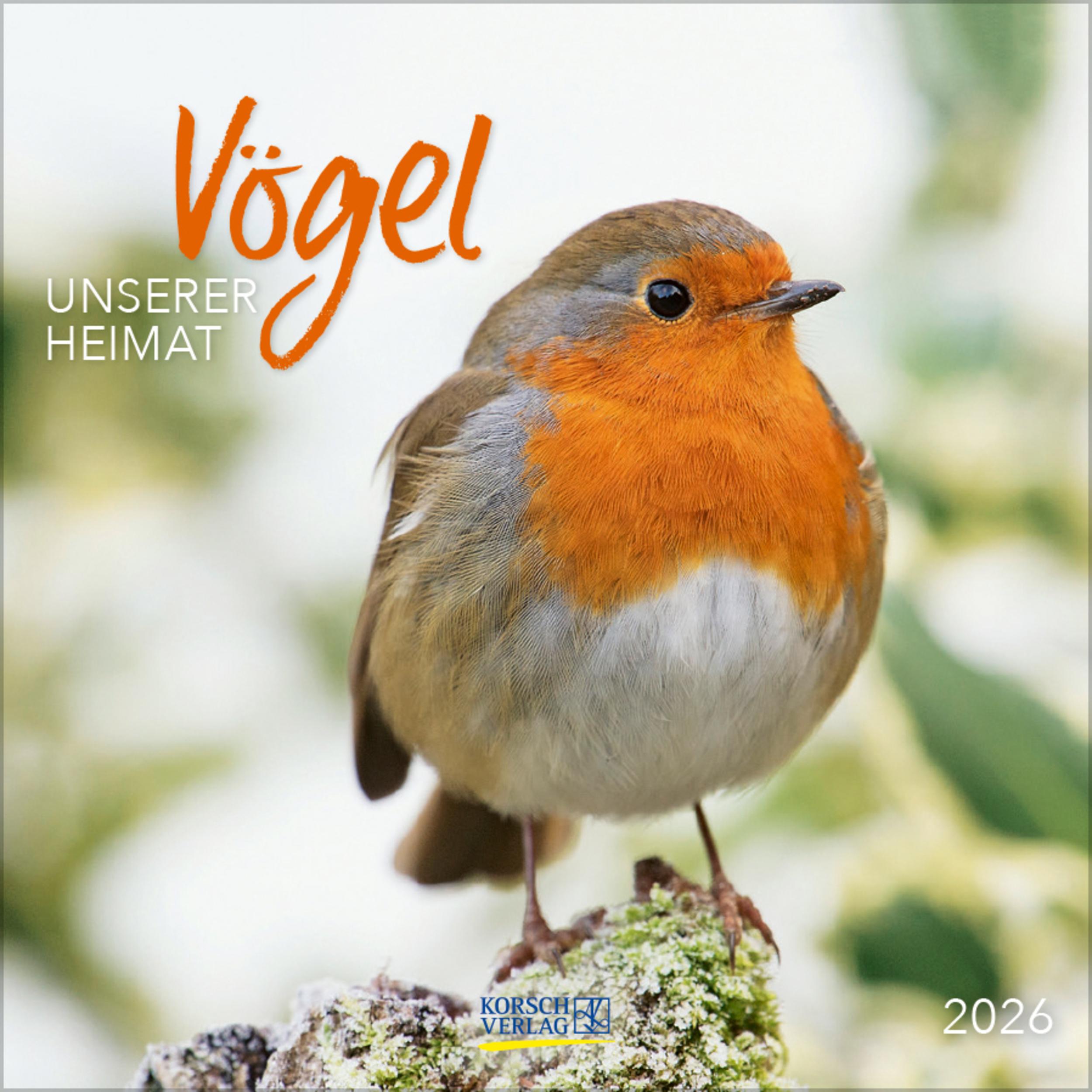 Vorderes Coverbild Vögel 2026