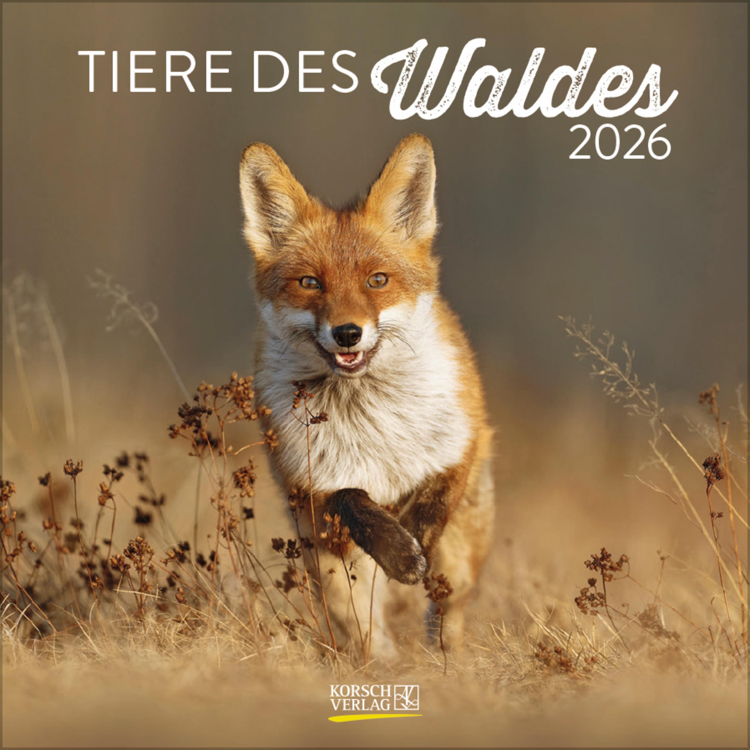 Vorderes Coverbild Tiere des Waldes 2026