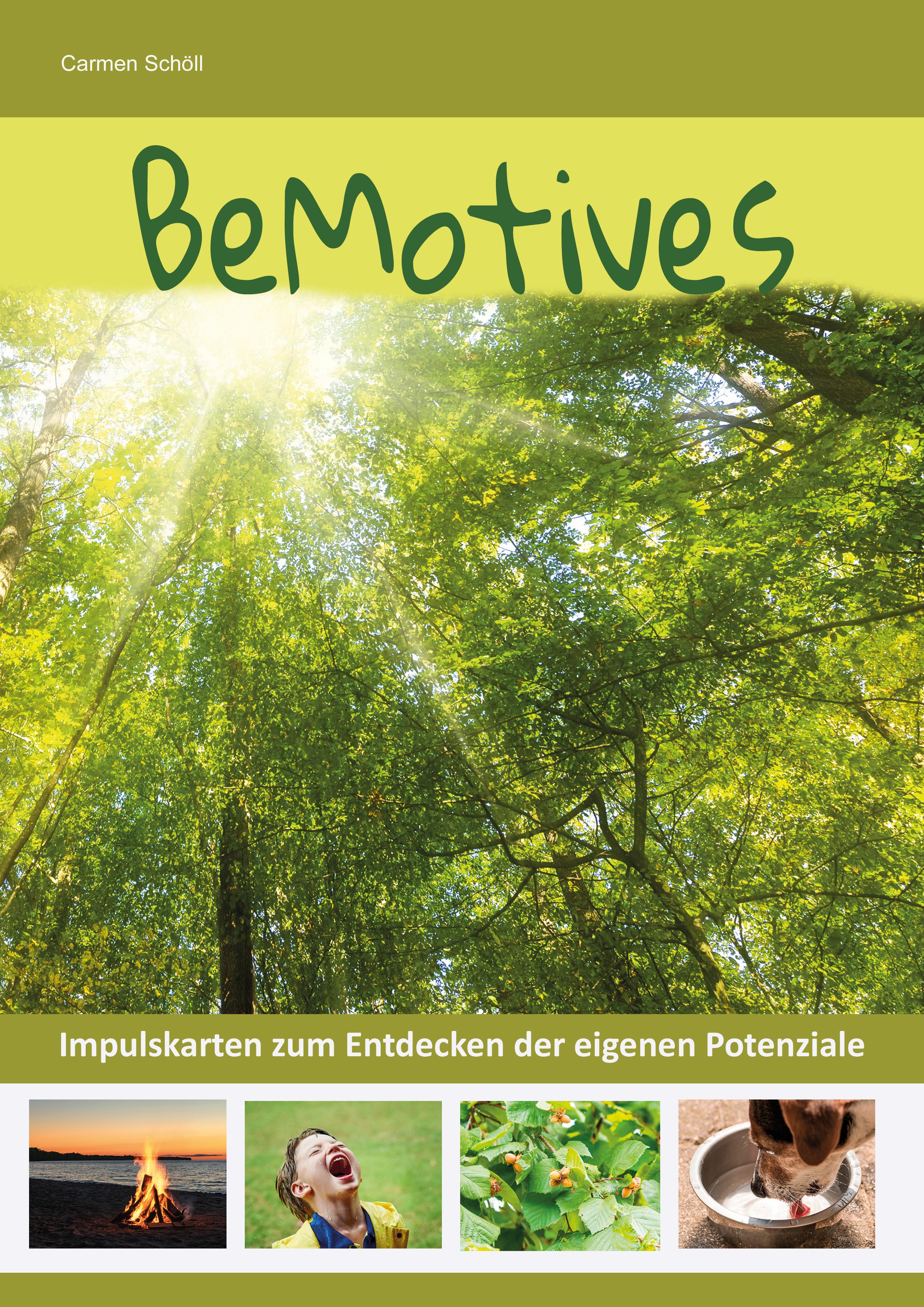 Vorderes Coverbild BeMotives - Potenziale entdecken und stärken