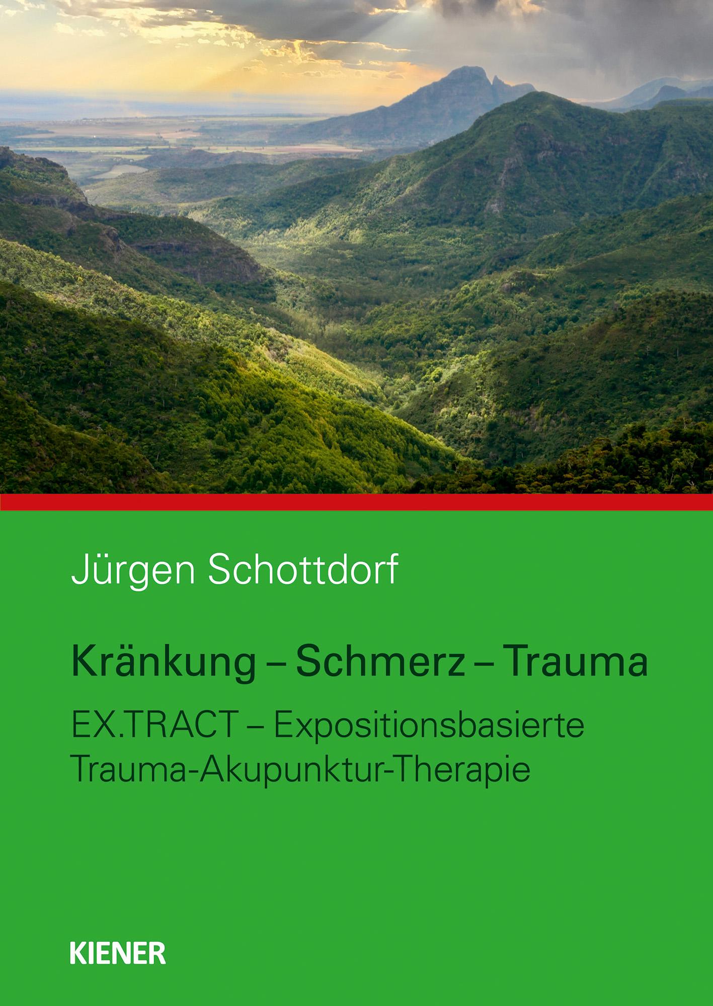 Vorderes Coverbild Kränkung - Schmerz - Trauma