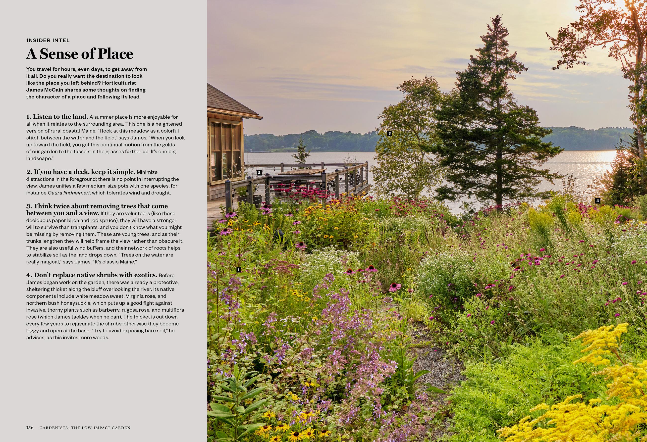 Beispielinhalt (Bild) Gardenista: The Low-Impact Garden