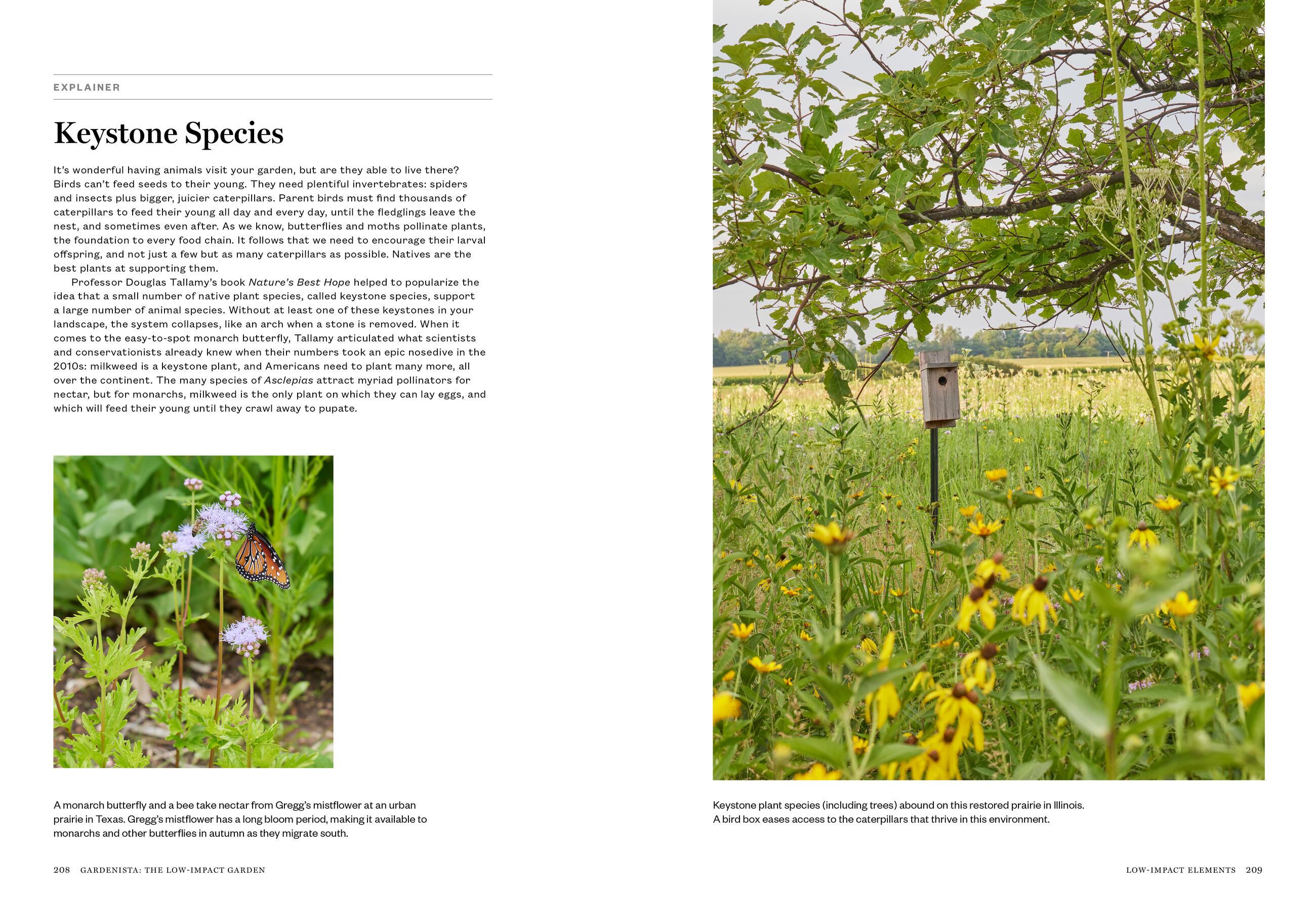 Beispielinhalt (Bild) Gardenista: The Low-Impact Garden