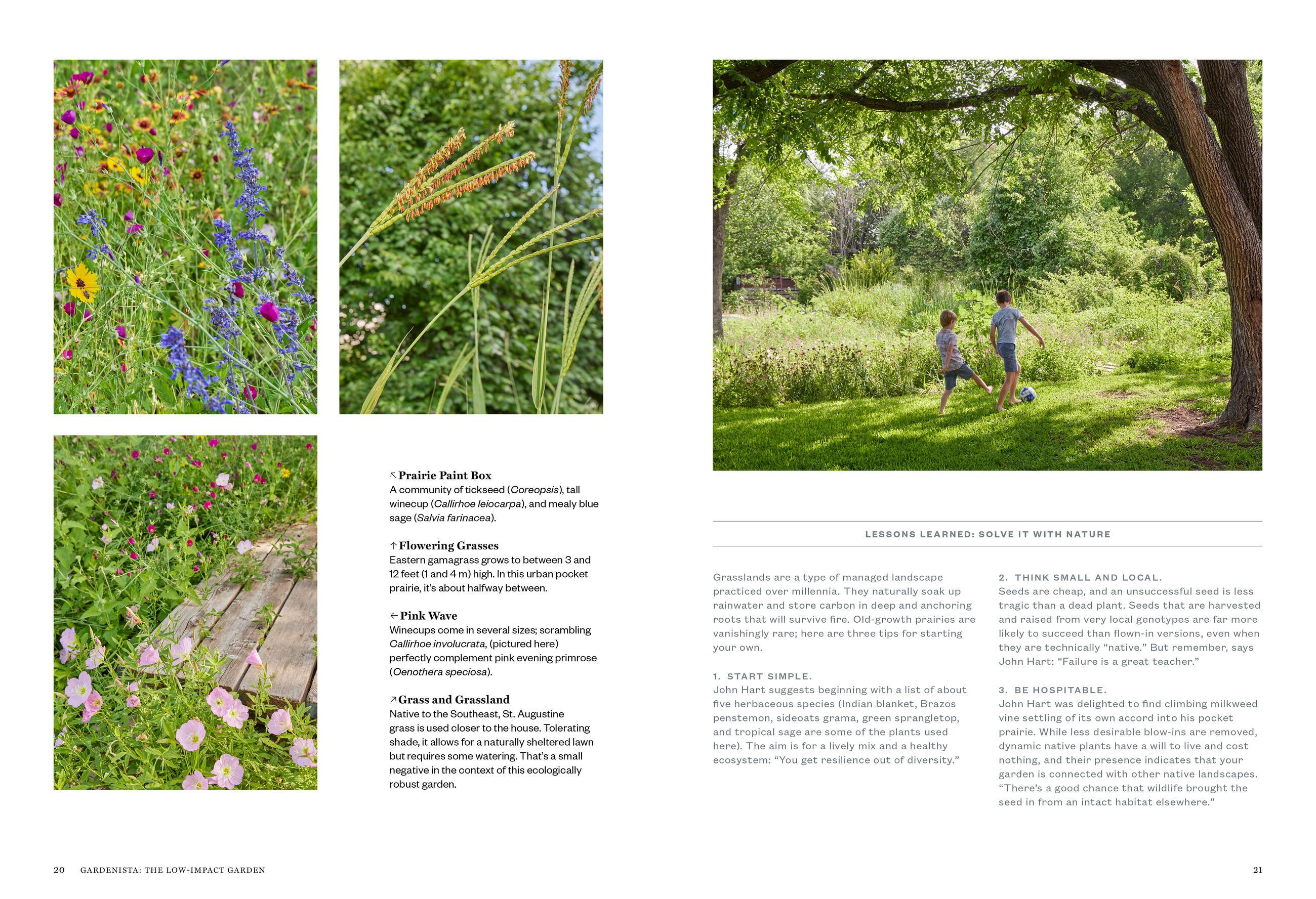 Beispielinhalt (Bild) Gardenista: The Low-Impact Garden