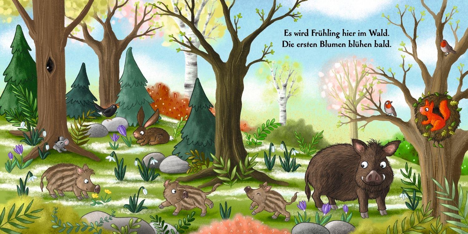 Beispielinhalt (Bild) Ein ganzes Jahr hier im Wald