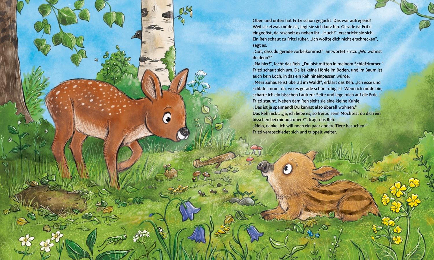 Beispielinhalt (Bild) Wie wohnen die Waldtiere?