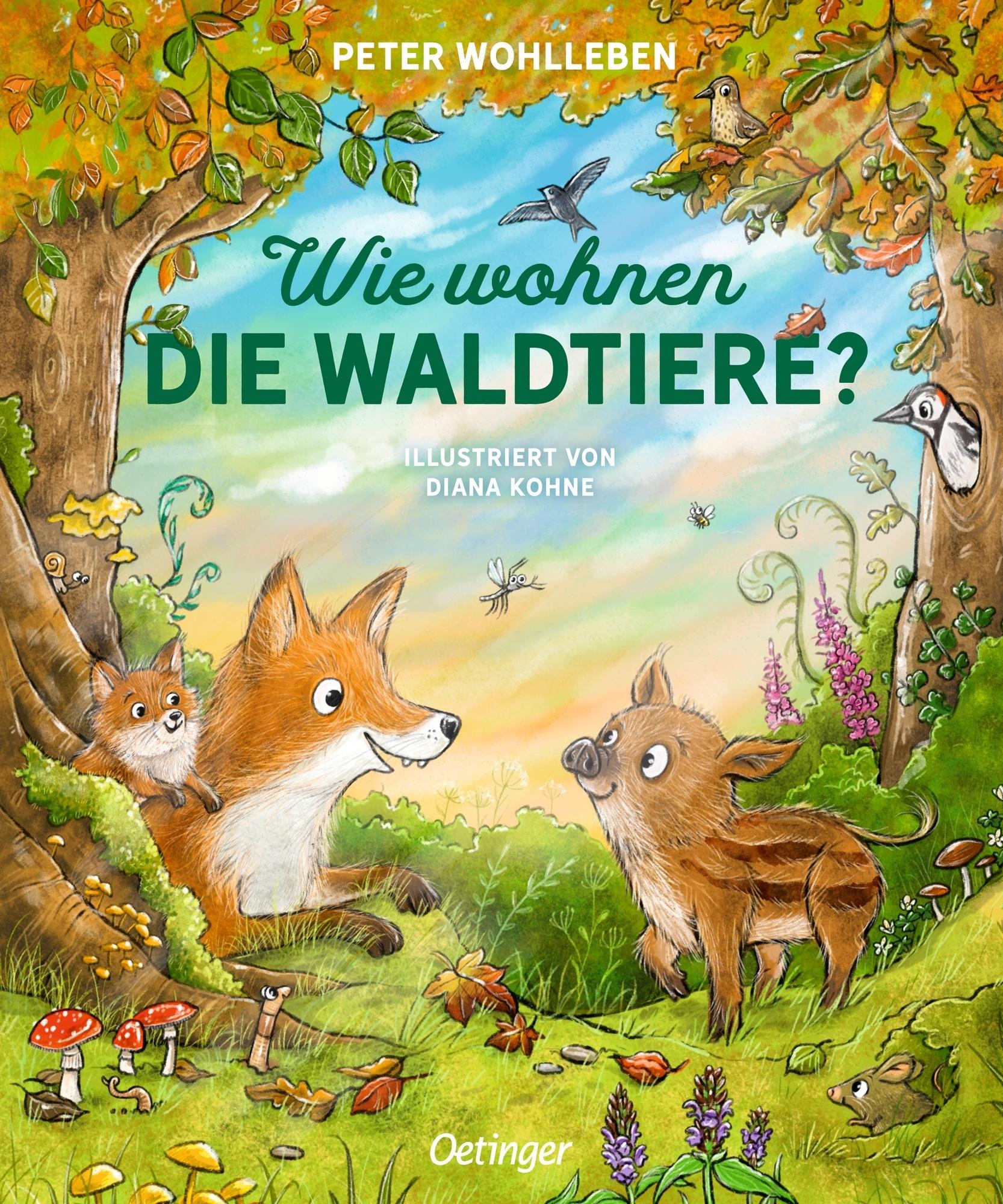 Vorderes Coverbild Wie wohnen die Waldtiere?